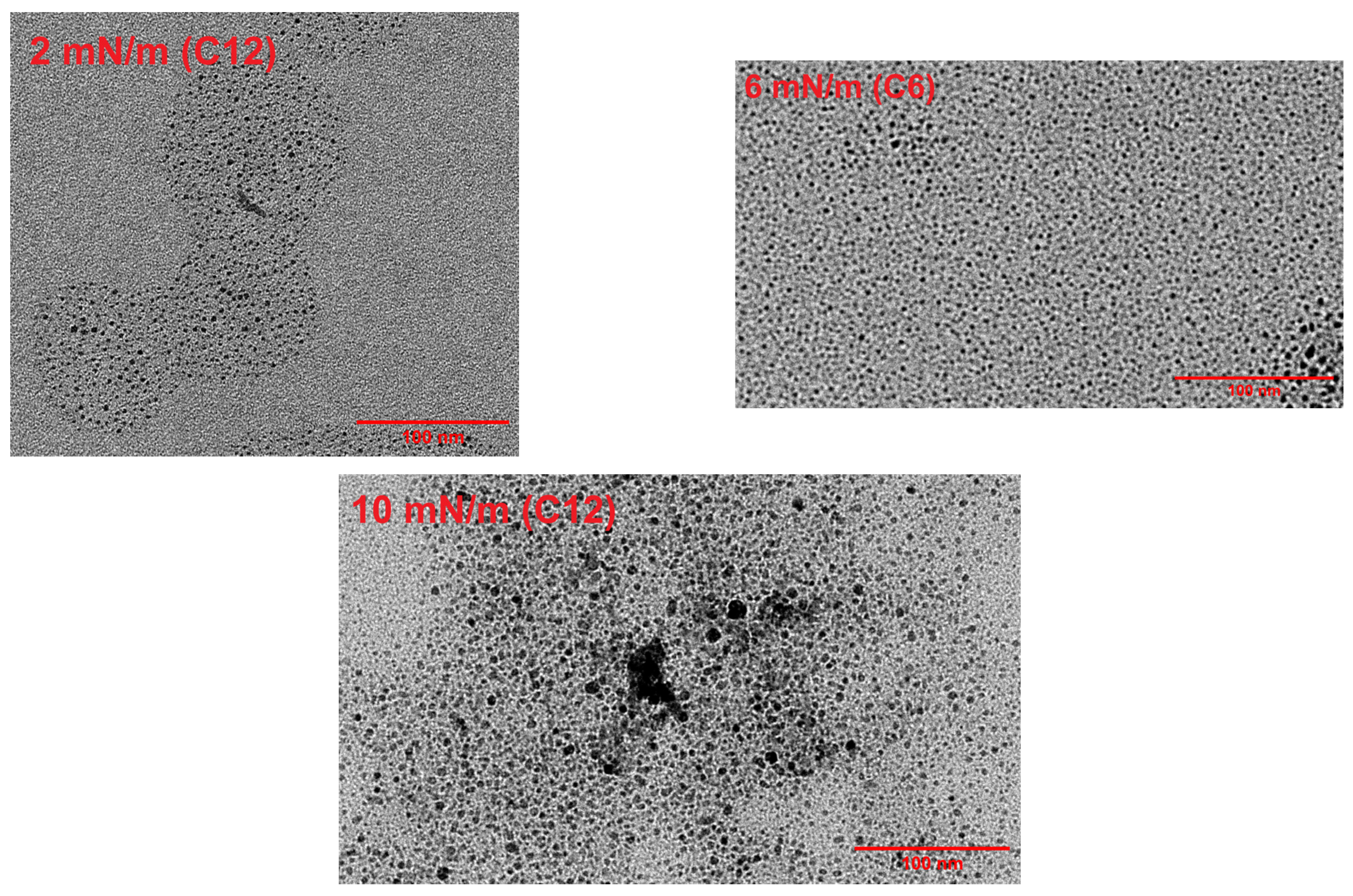 Membranes 16 00058 g011 Membranes 16 00058 g011