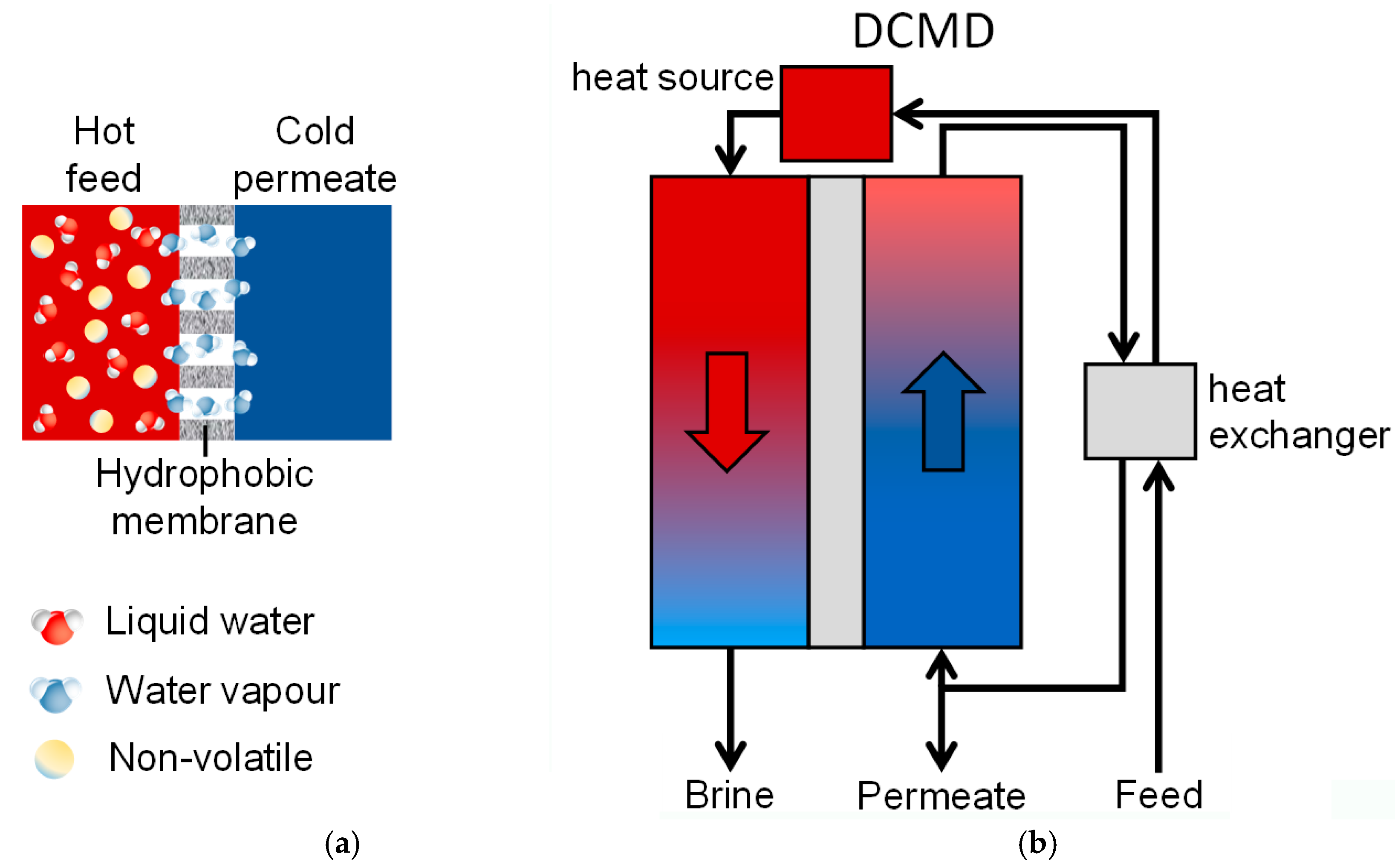 Membranes 16 00064 g001