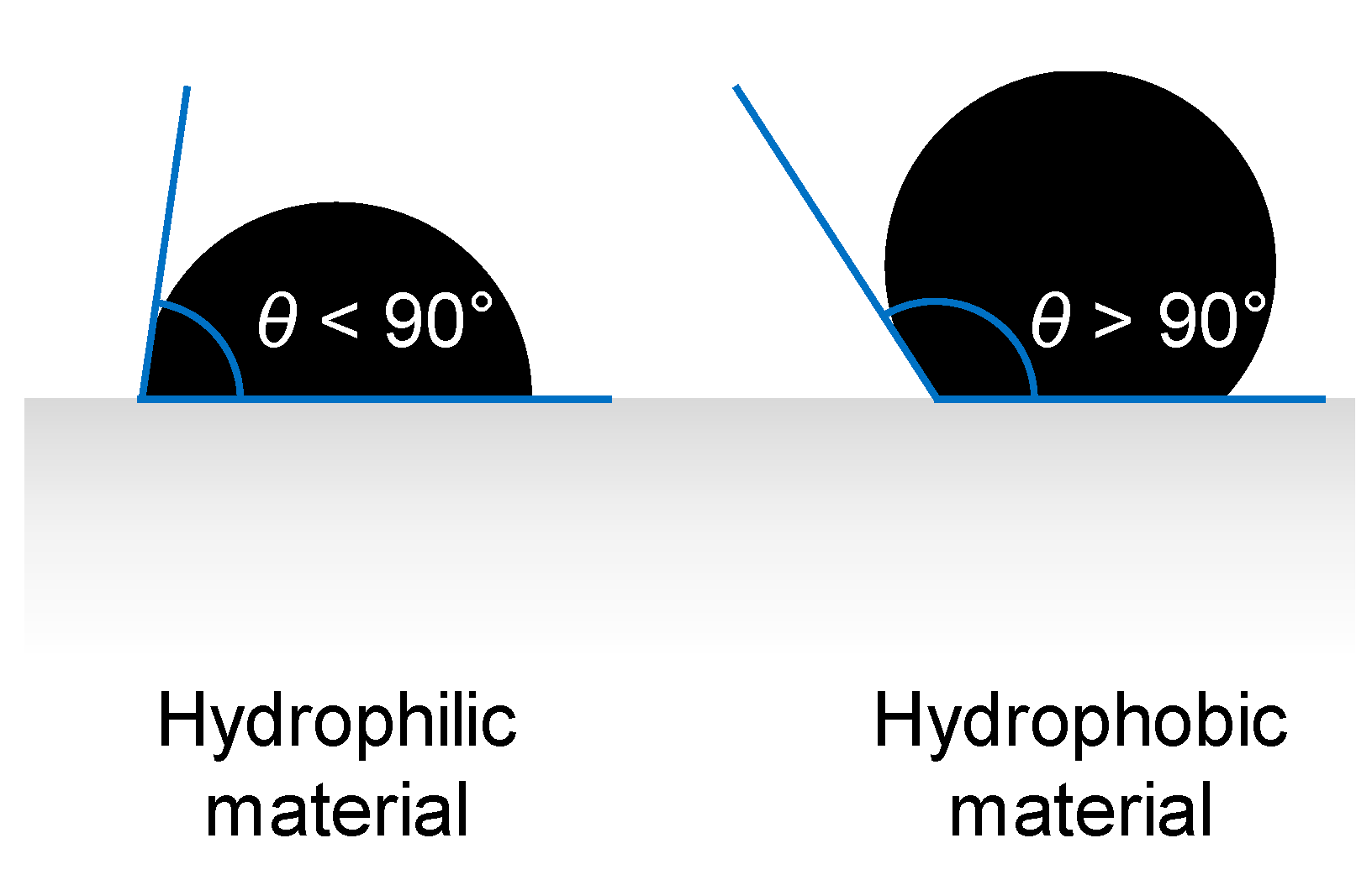 Membranes 16 00064 g012