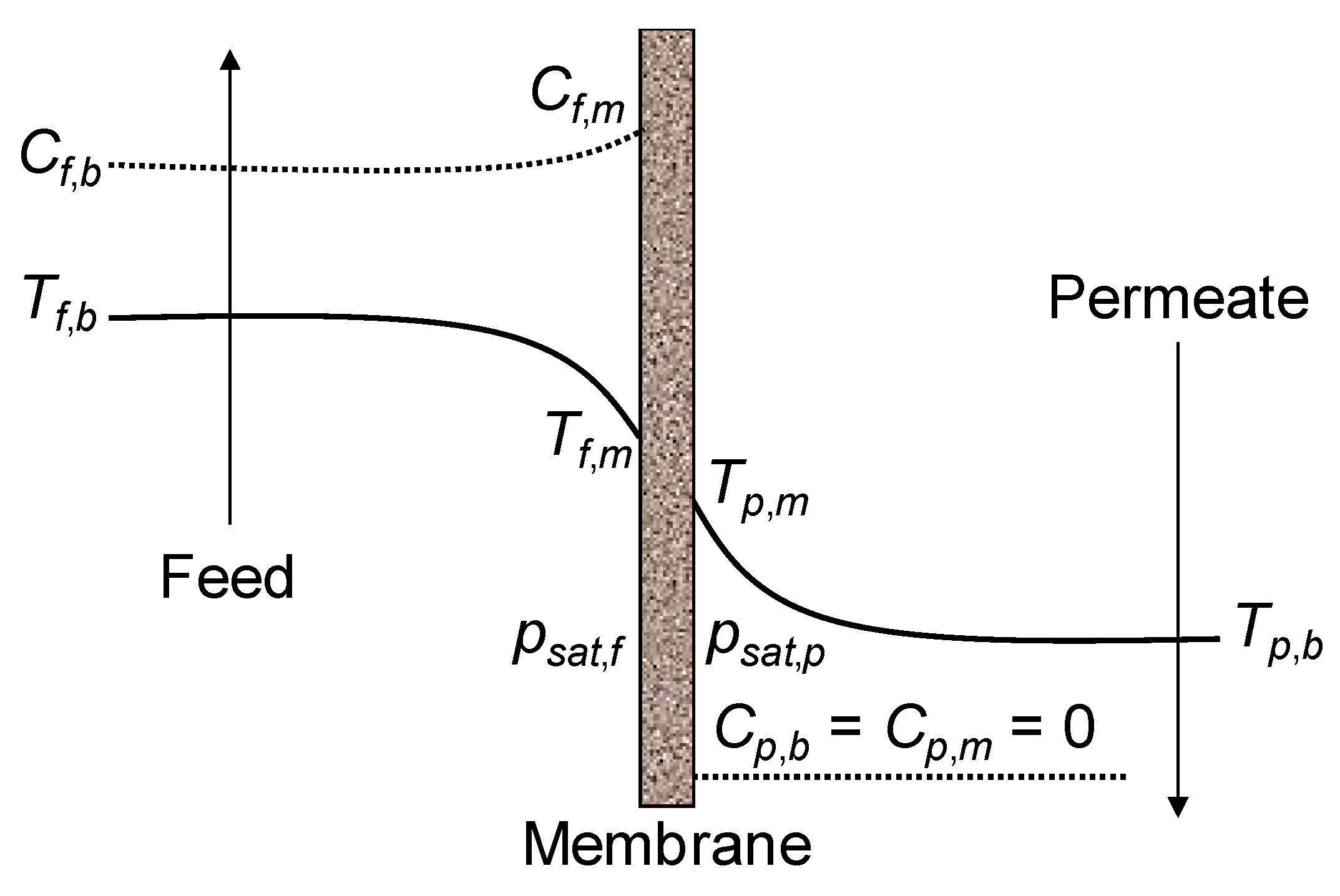 Membranes 16 00064 g013