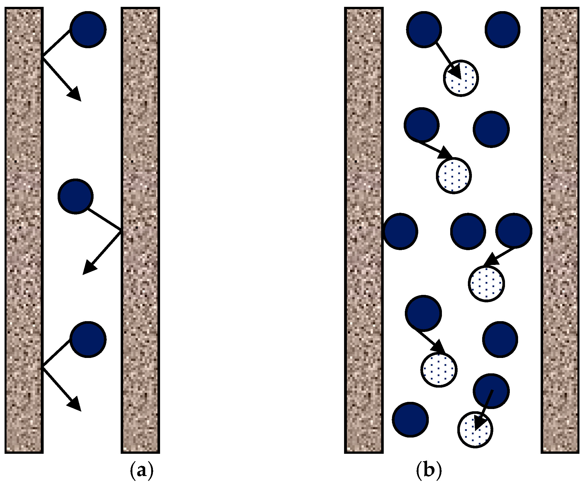 Membranes 16 00064 g014