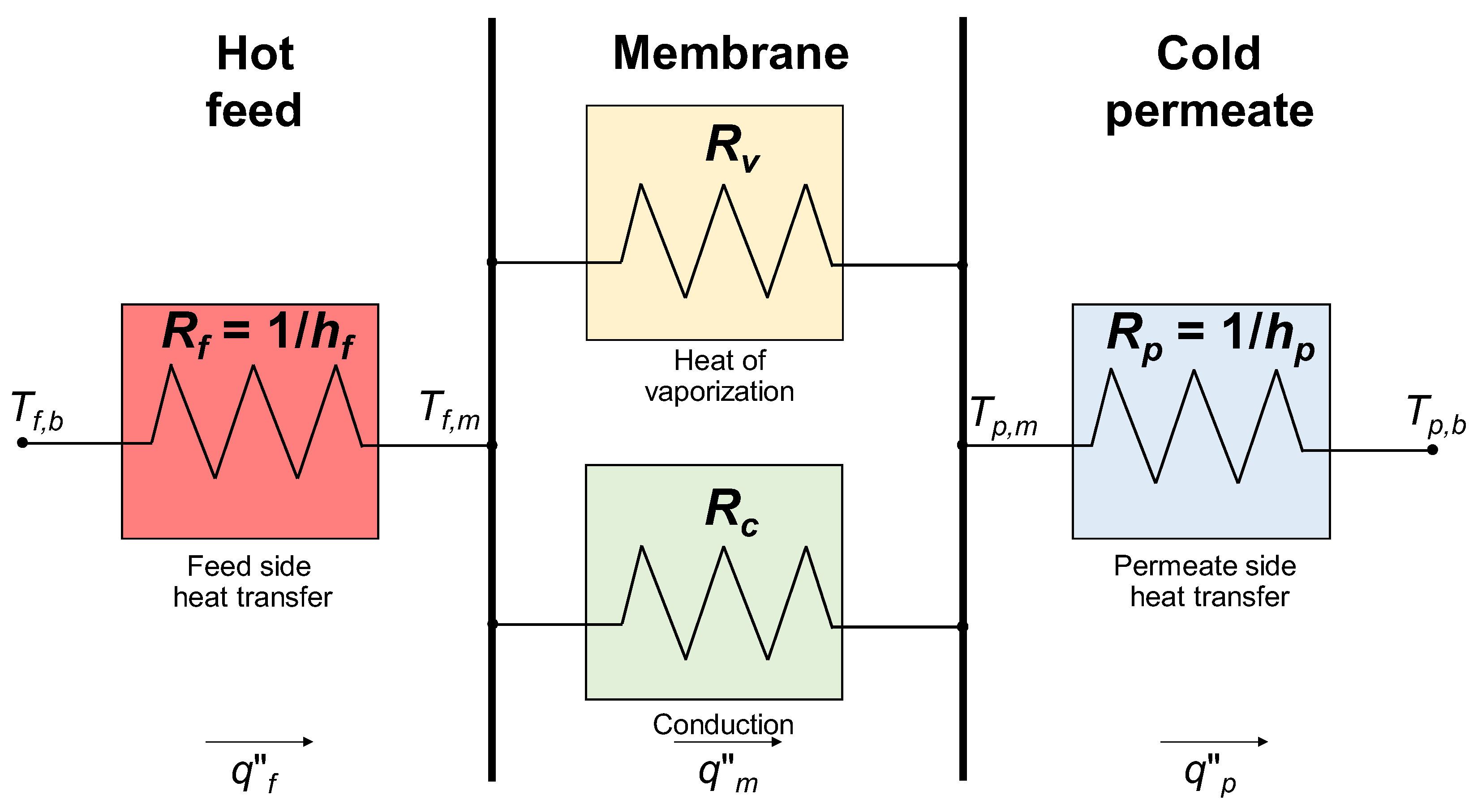 Membranes 16 00064 g017