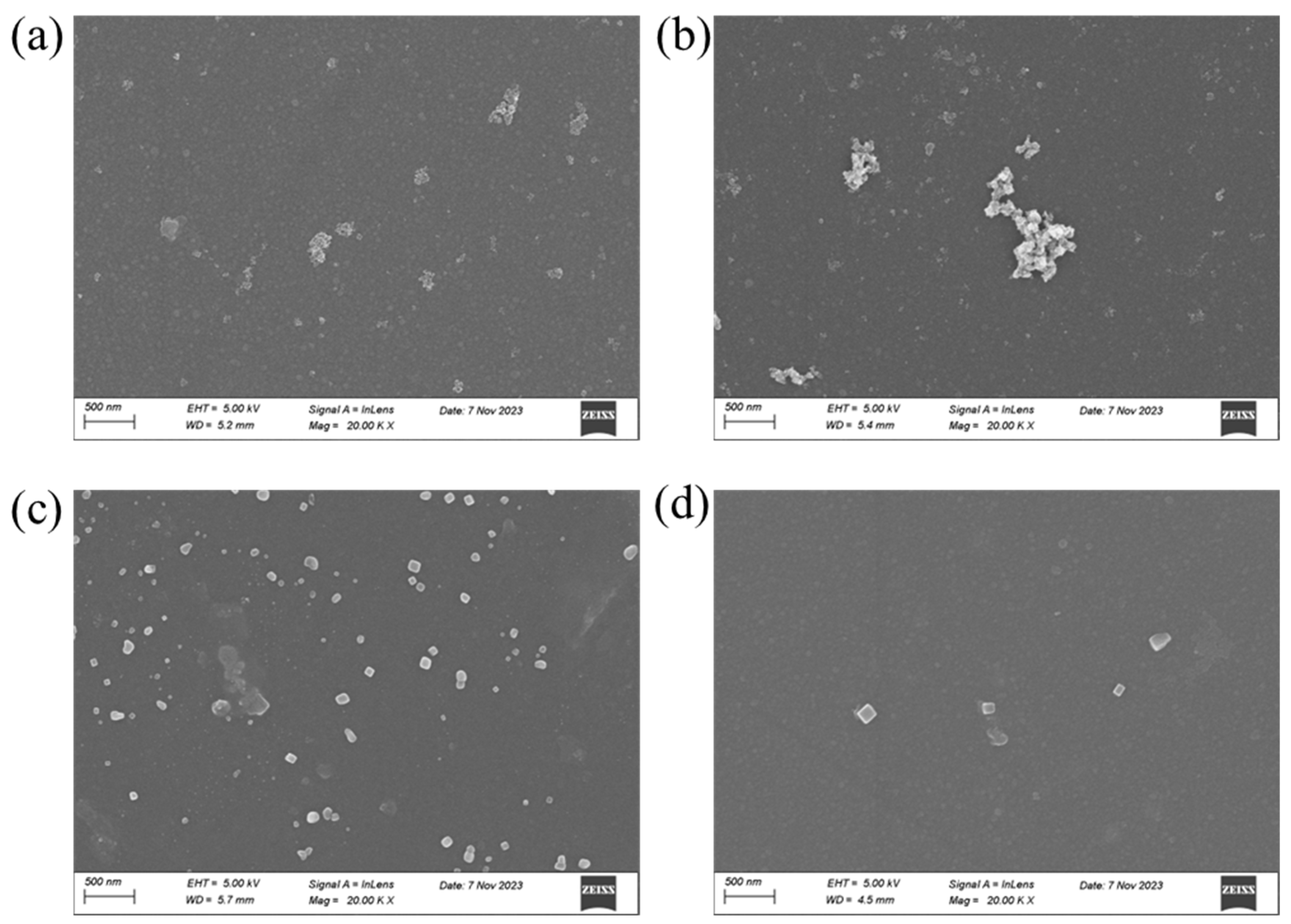 Membranes 16 00151 g011