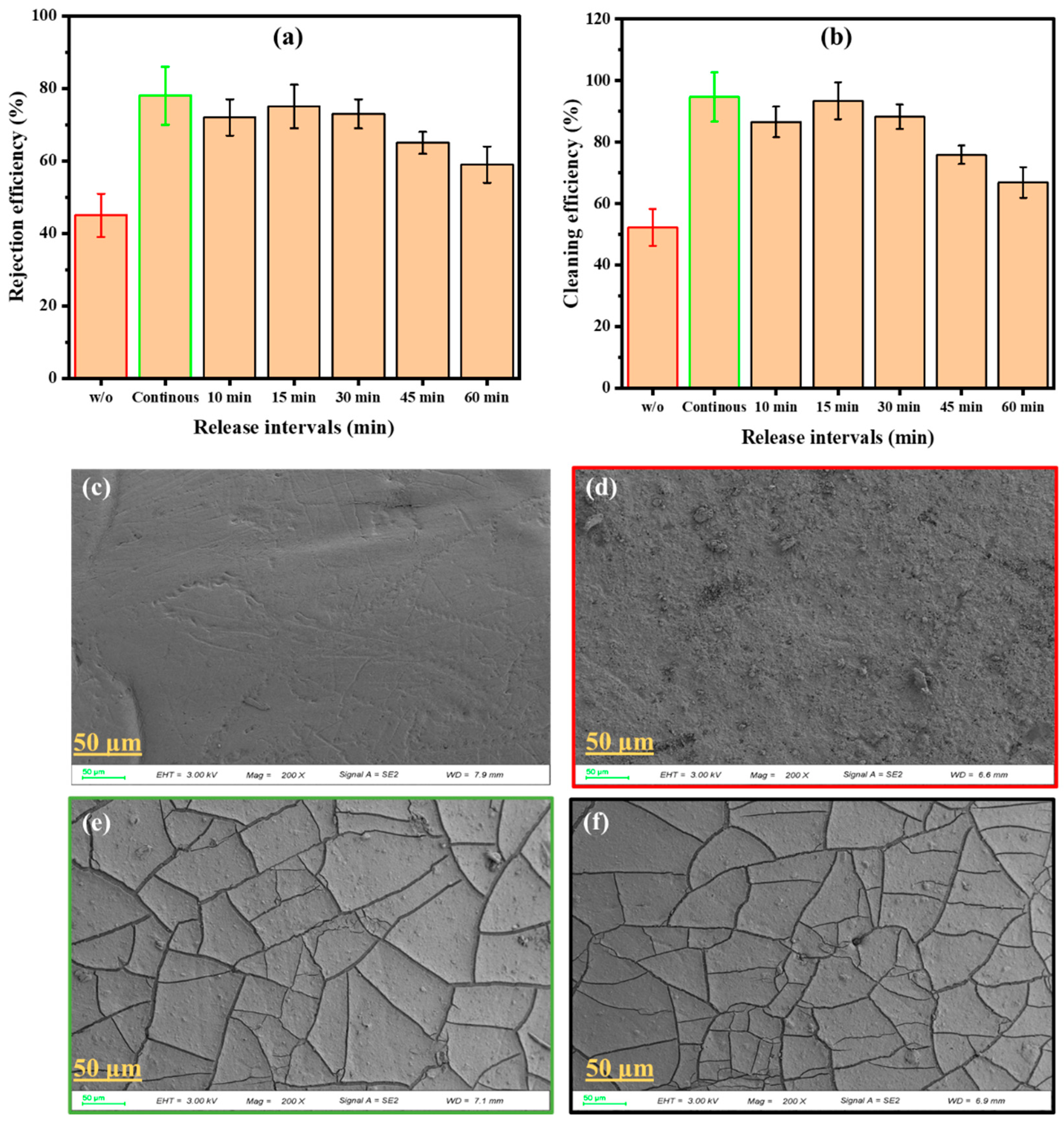 Membranes 16 00182 g006