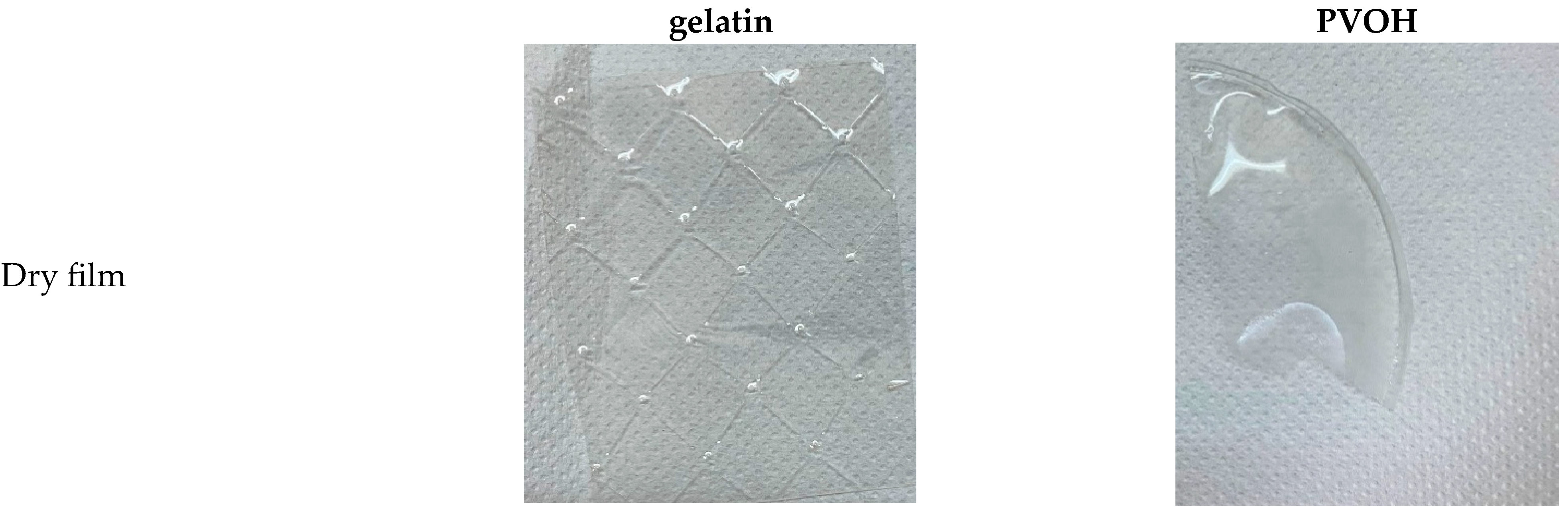 Membranes 16 00188 g002a