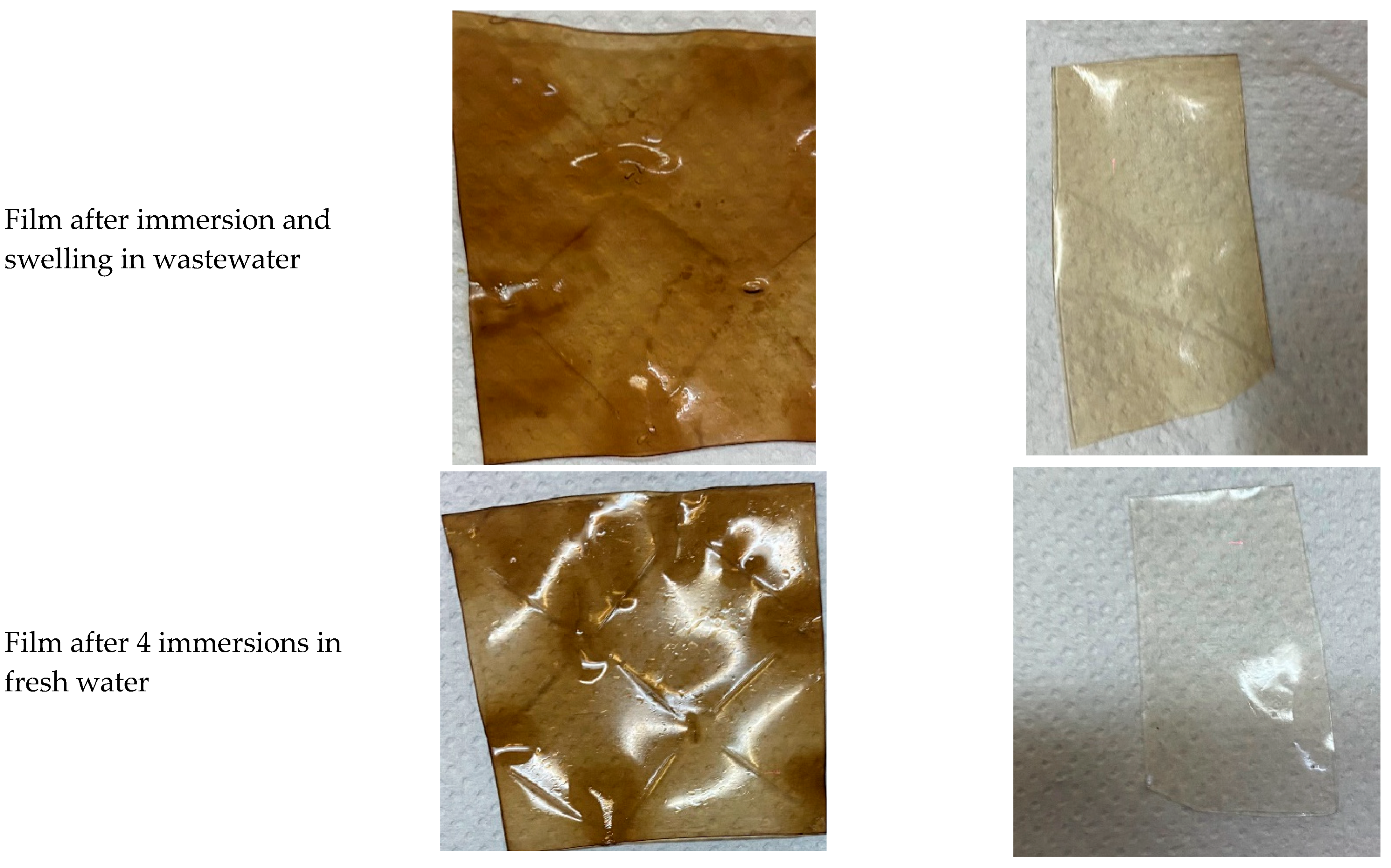 Membranes 16 00188 g002b