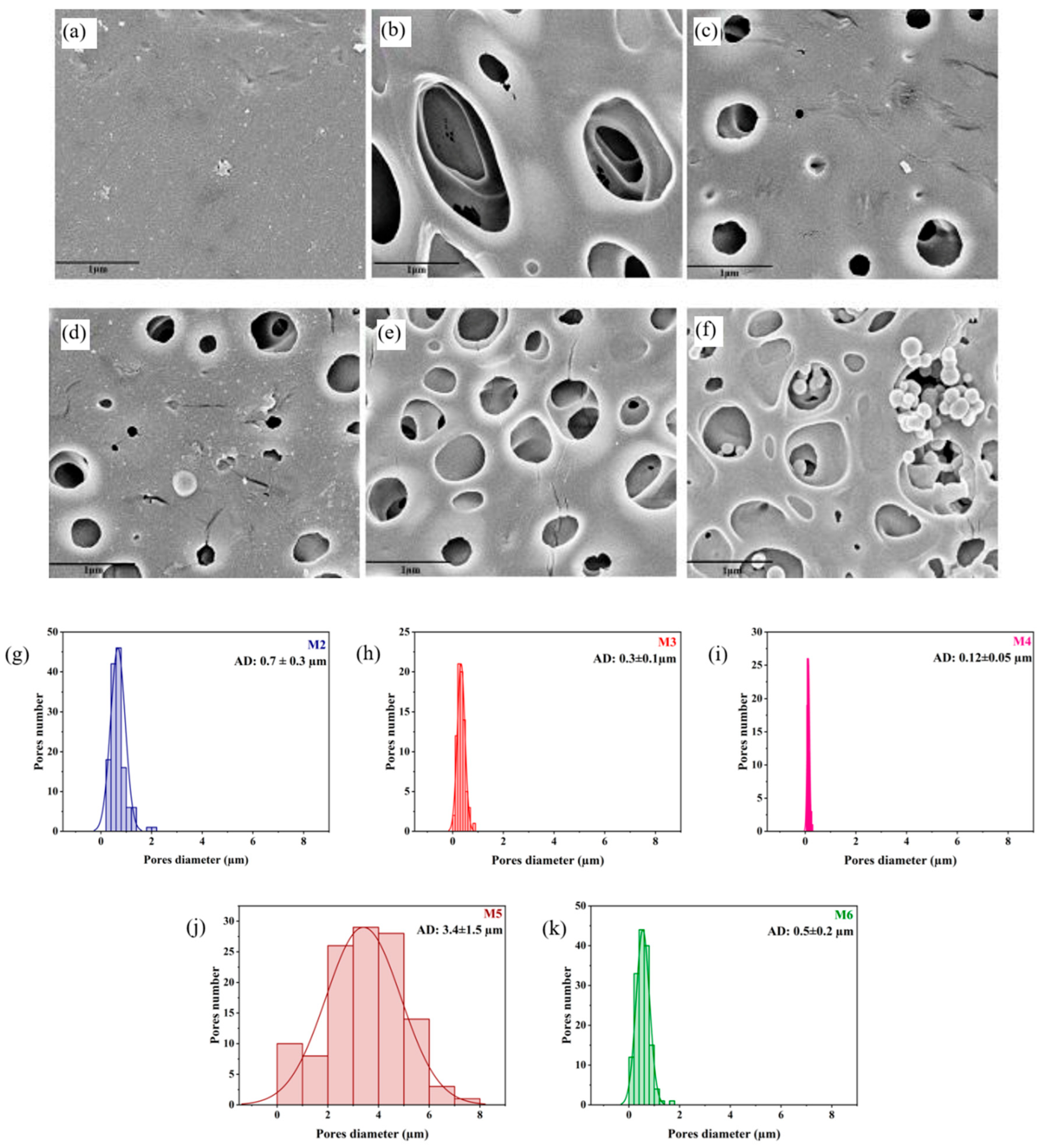 Membranes 16 00194 g002 Membranes 16 00194 g002