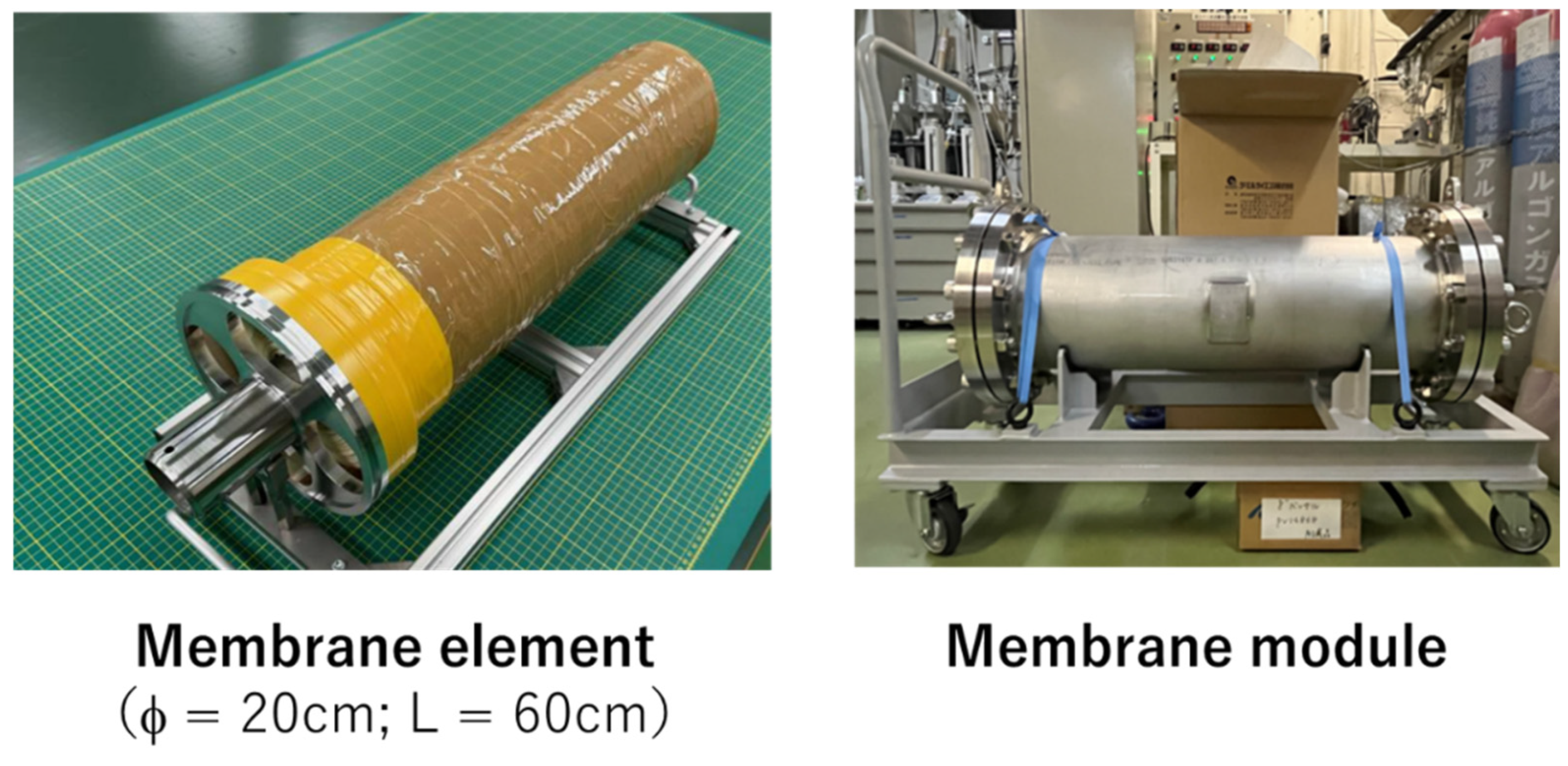 Membranes 16 00196 g016