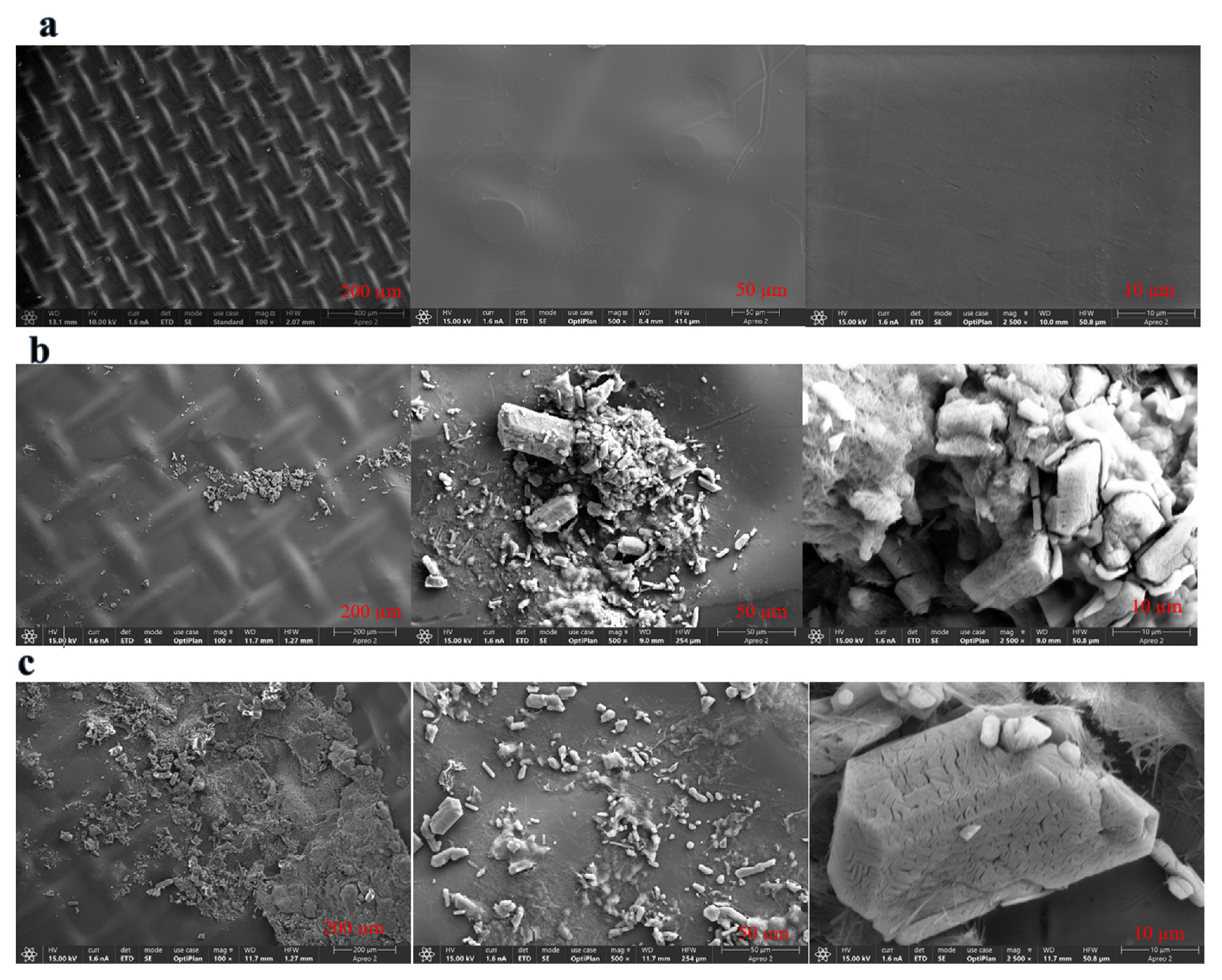 Membranes 16 00197 g004 Membranes 16 00197 g004
