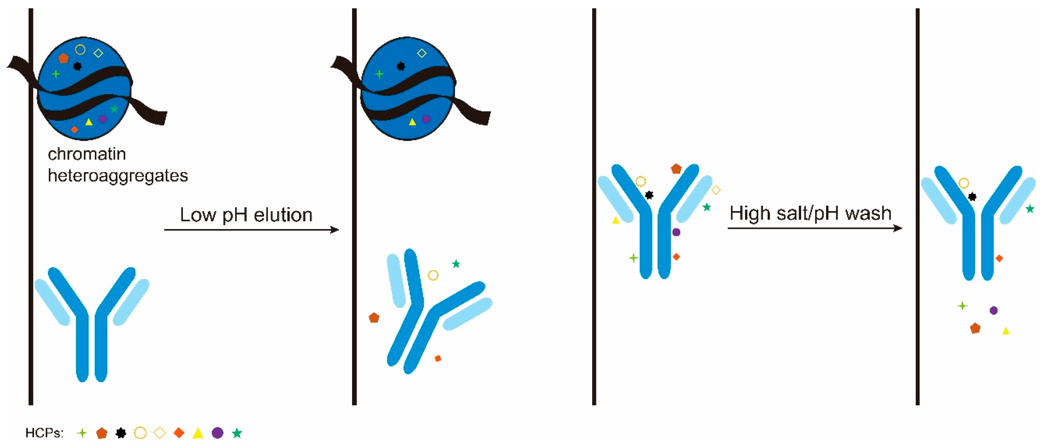 Membranes 16 00222 g002