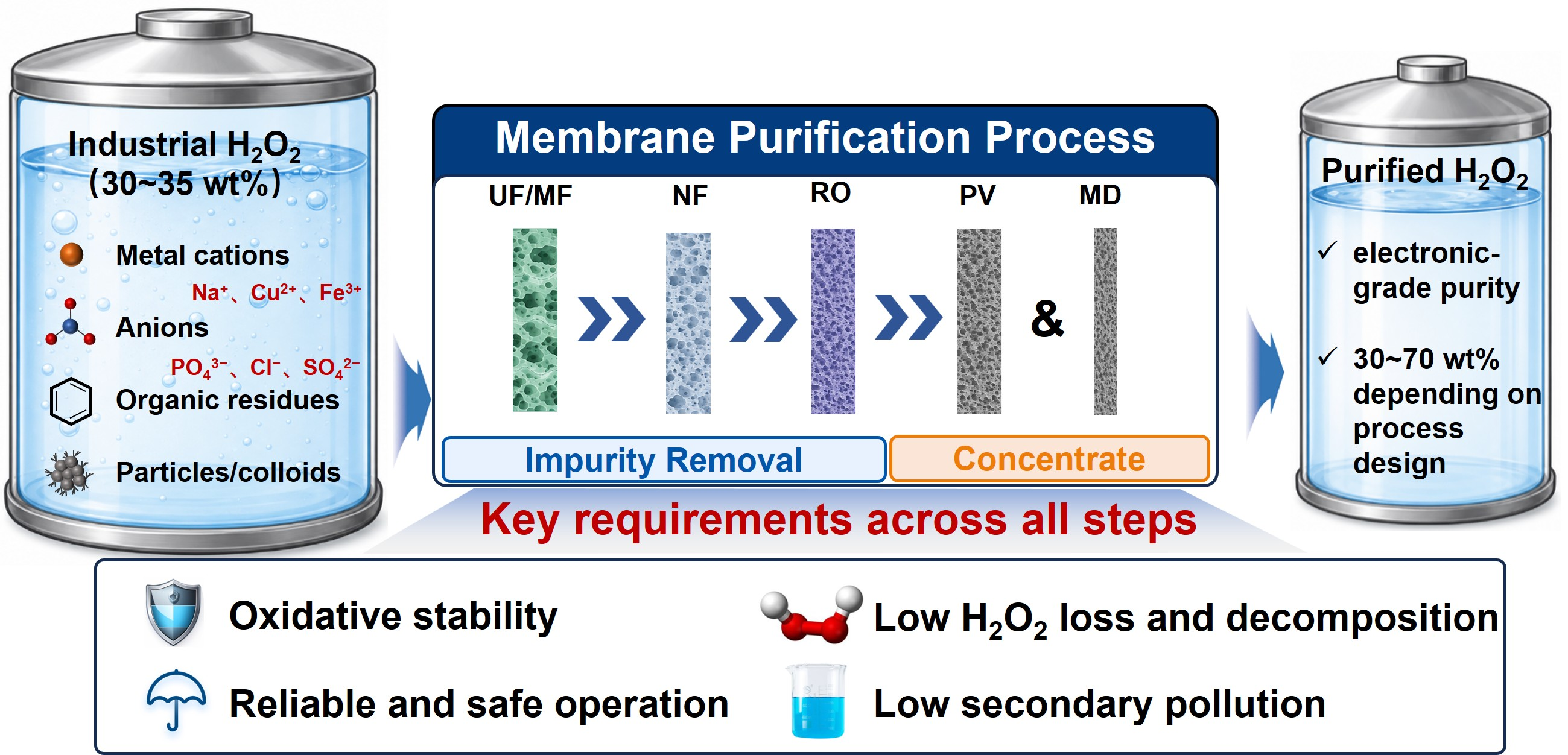 Membranes 16 00229 g002