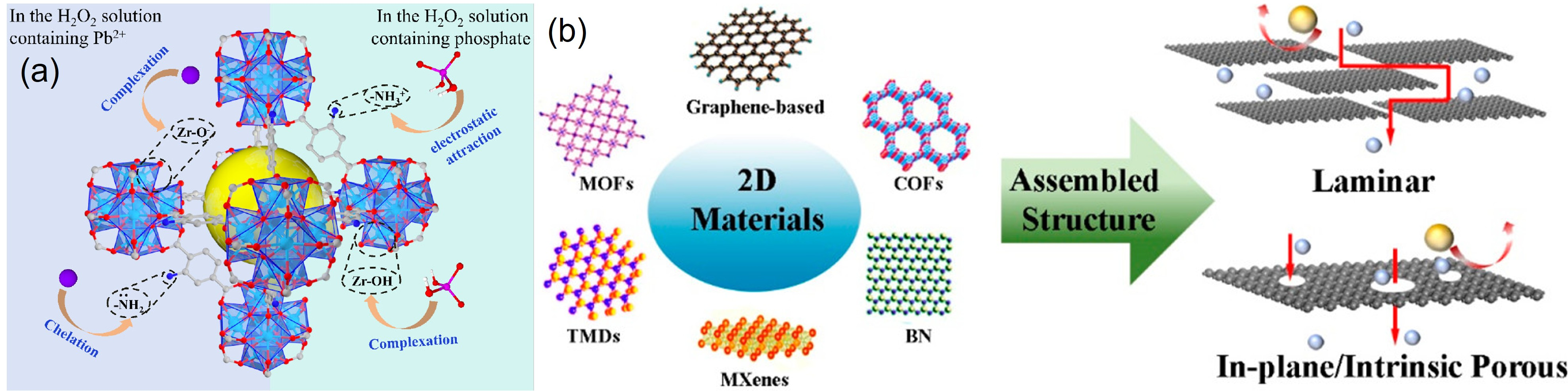 Membranes 16 00229 g007