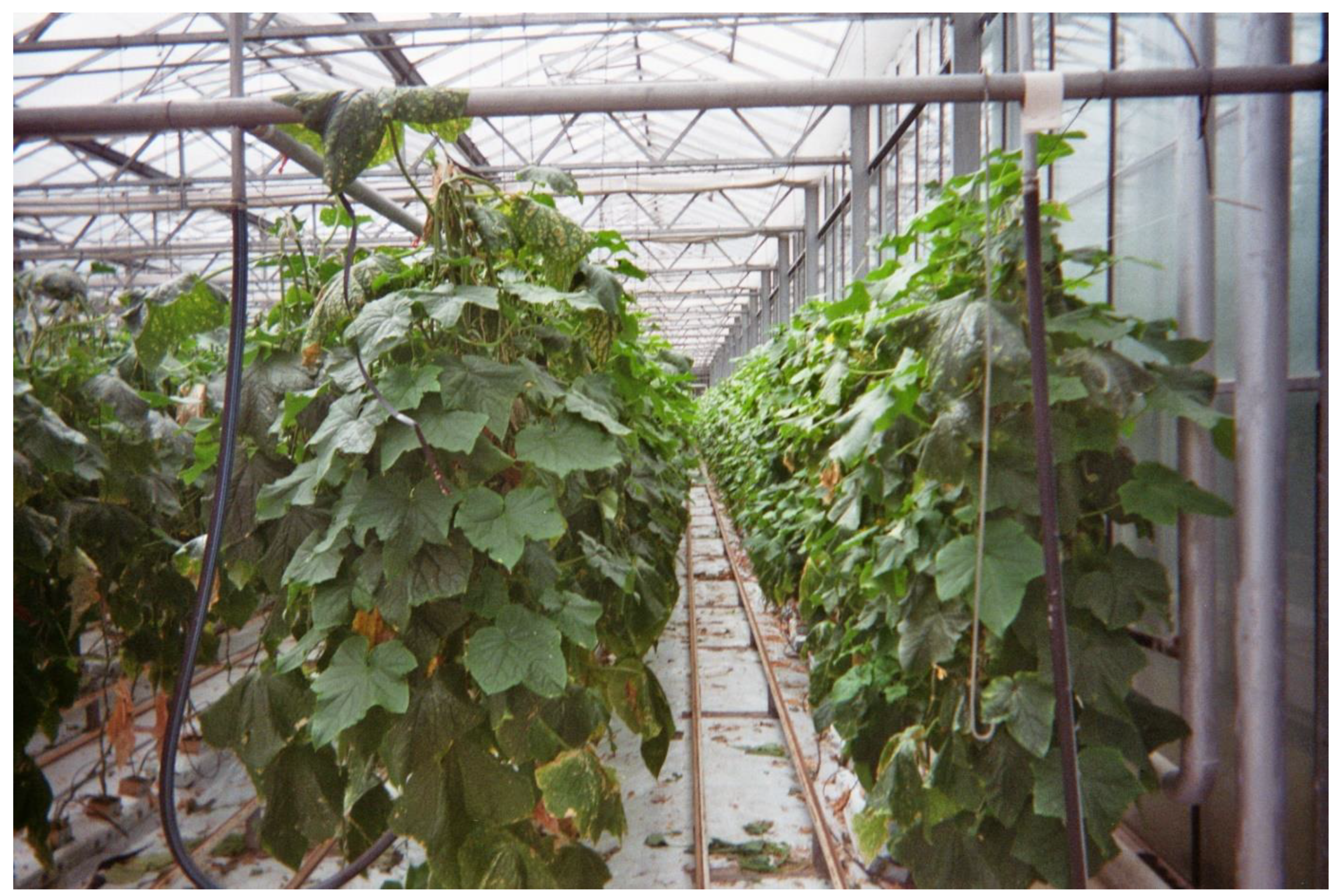 Merits 03 00024 g004