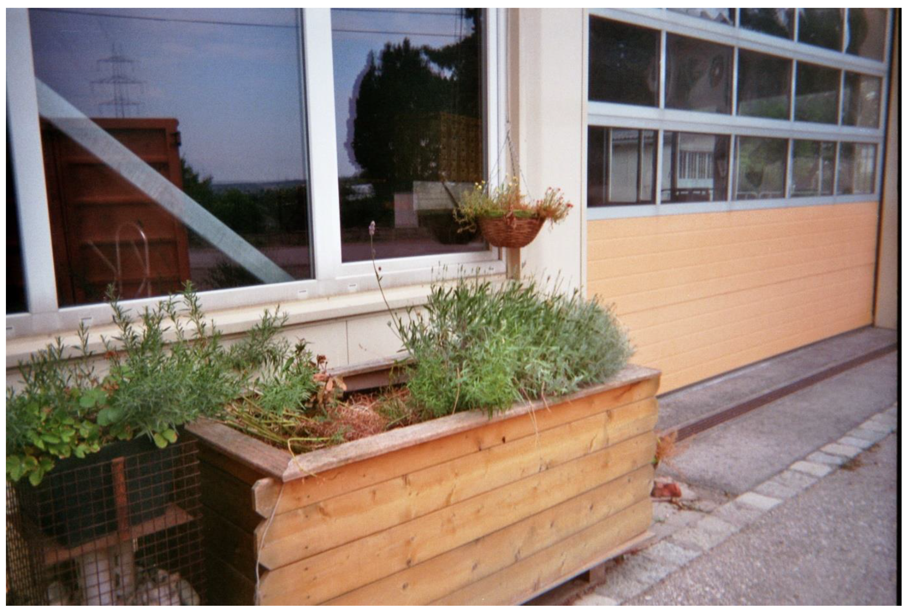 Merits 03 00024 g005