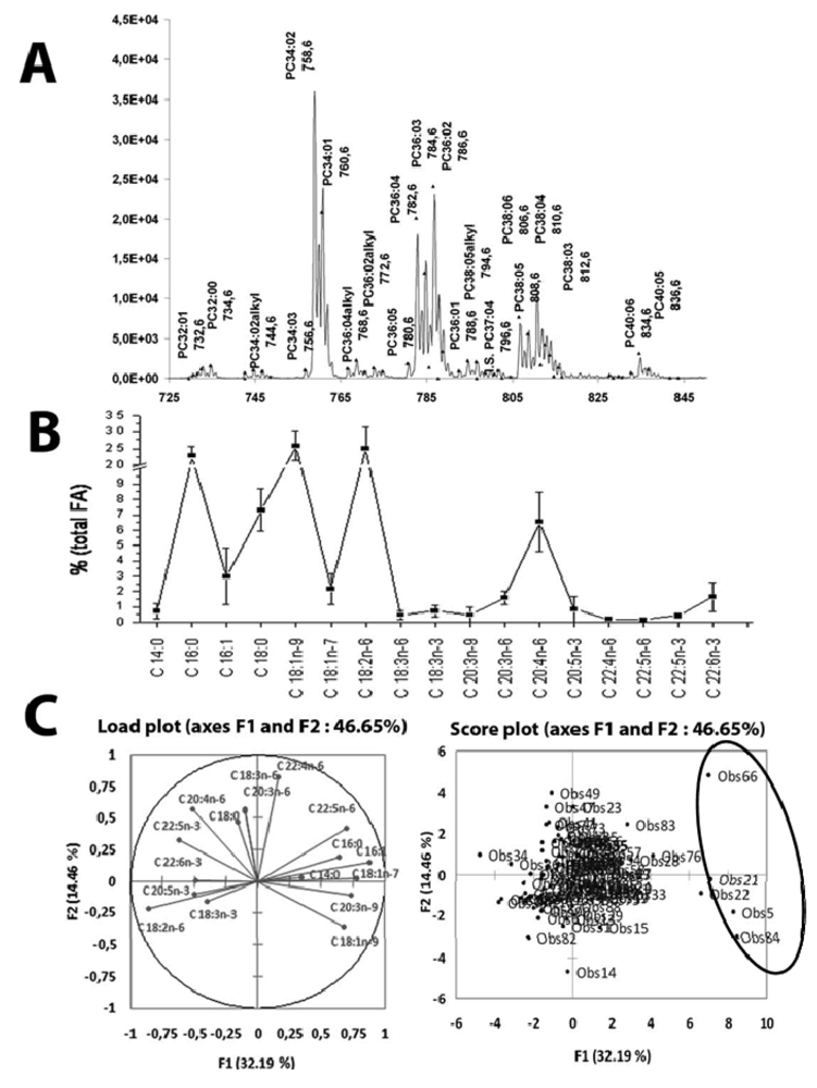 Metabolites 02 00001 g002 1024