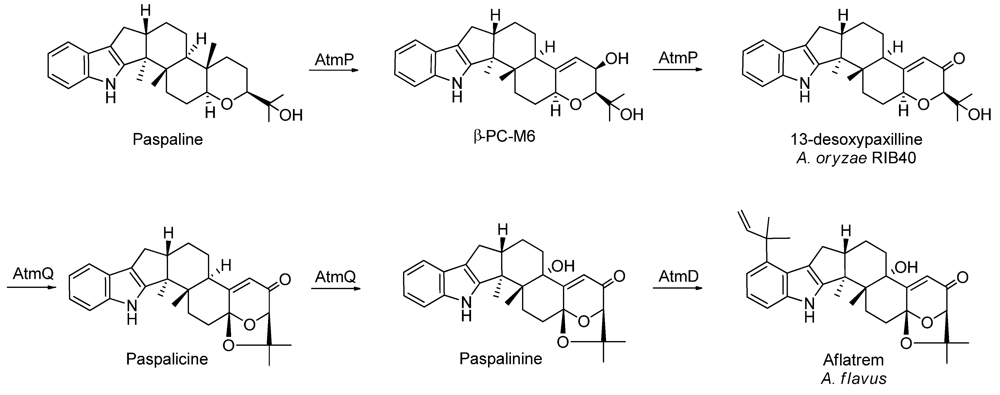 Metabolites 02 00039 g003 1024