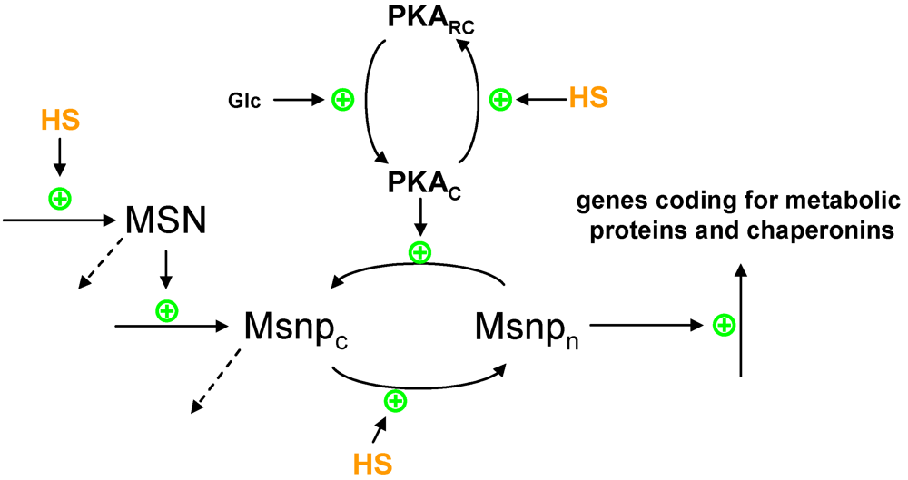 Metabolites 02 00221 g002 1024