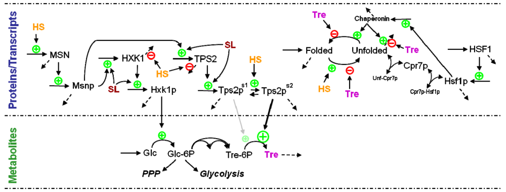 Metabolites 02 00221 g006 1024