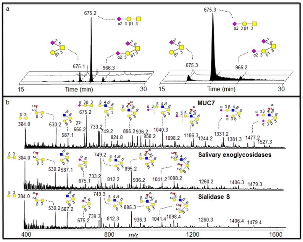 Metabolites 02 00648 g005 1024