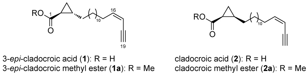 Metabolites 03 00024 g001