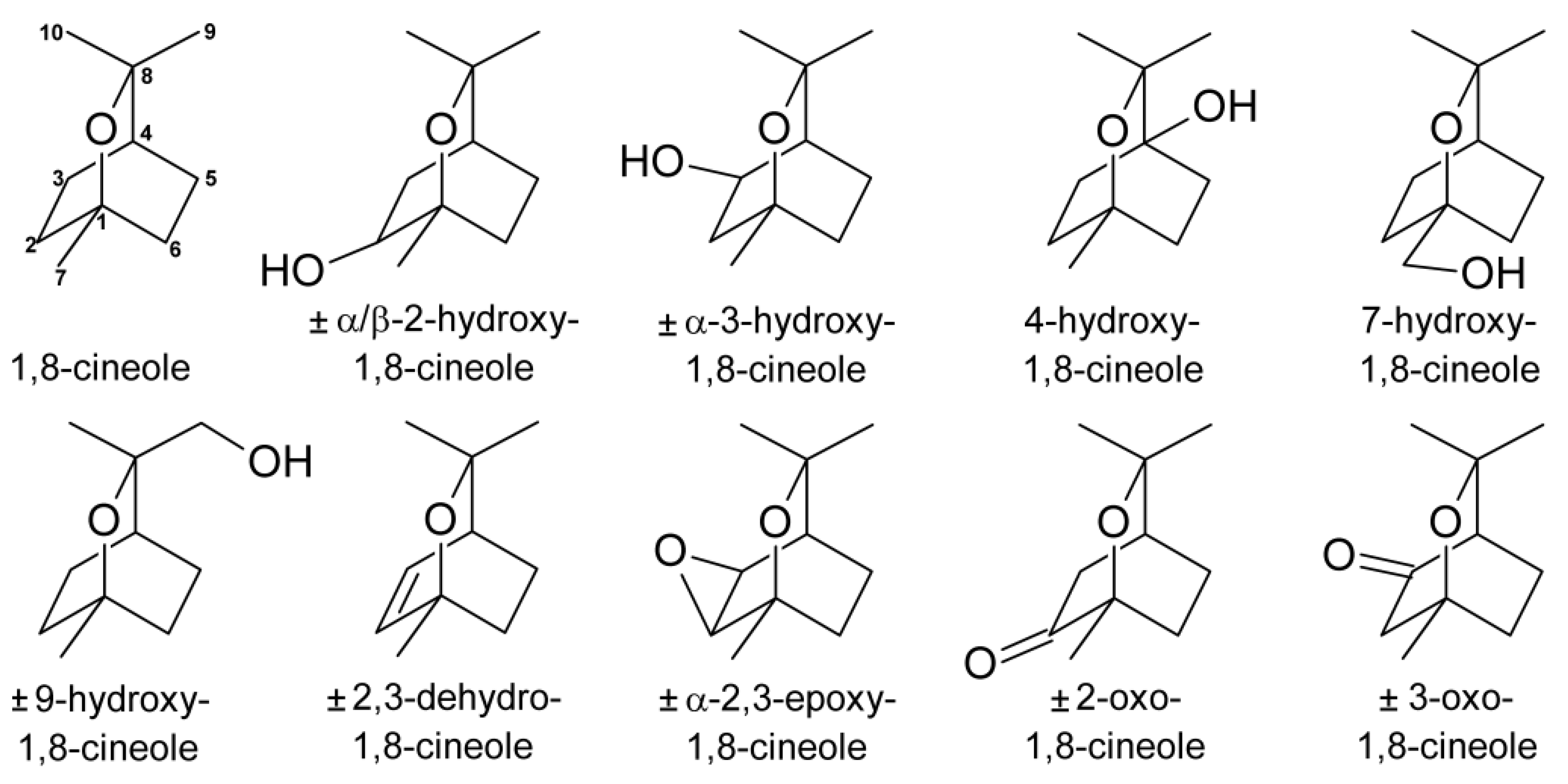 Metabolites 03 00047 g001