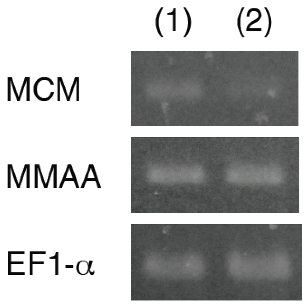 Metabolites 03 00144 g003