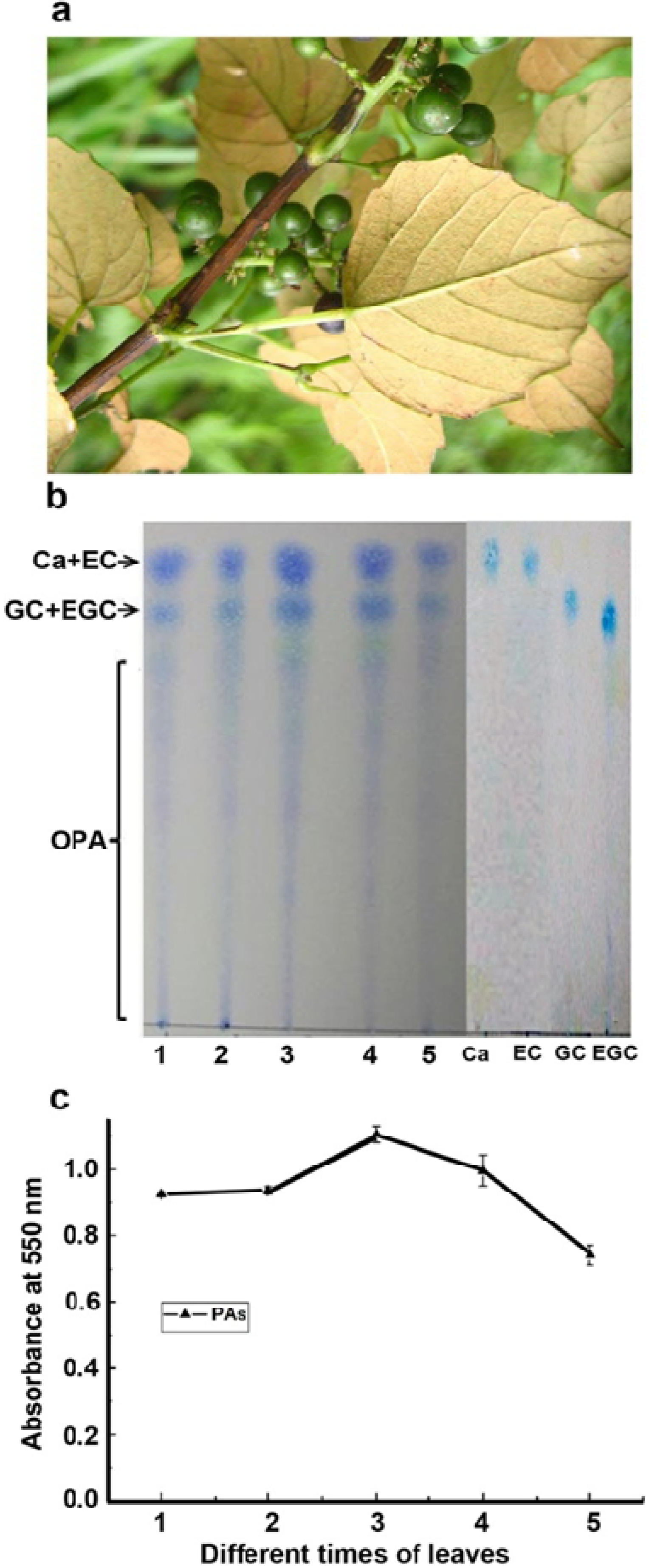 Metabolites 03 00185 g002