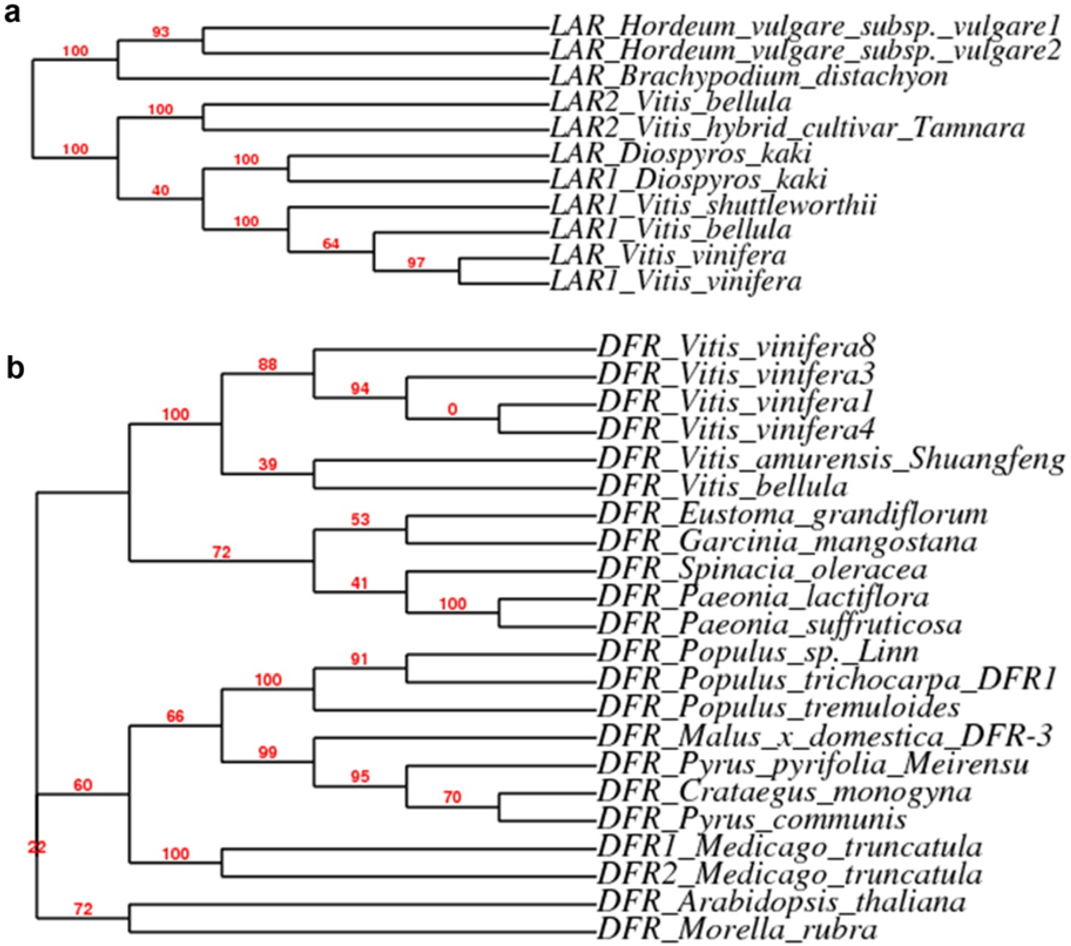 Metabolites 03 00185 g005