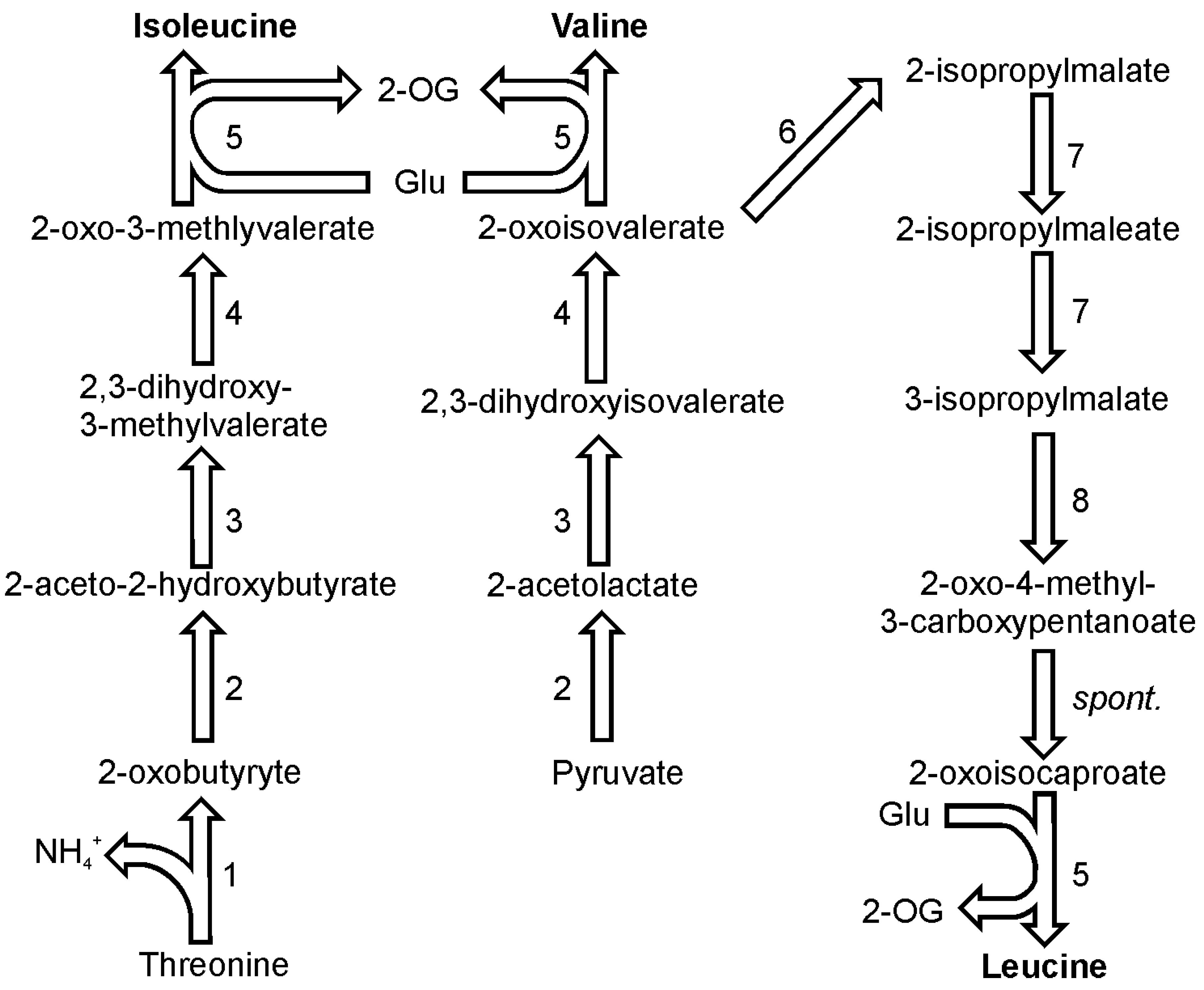 Metabolites 03 00294 g004 1024