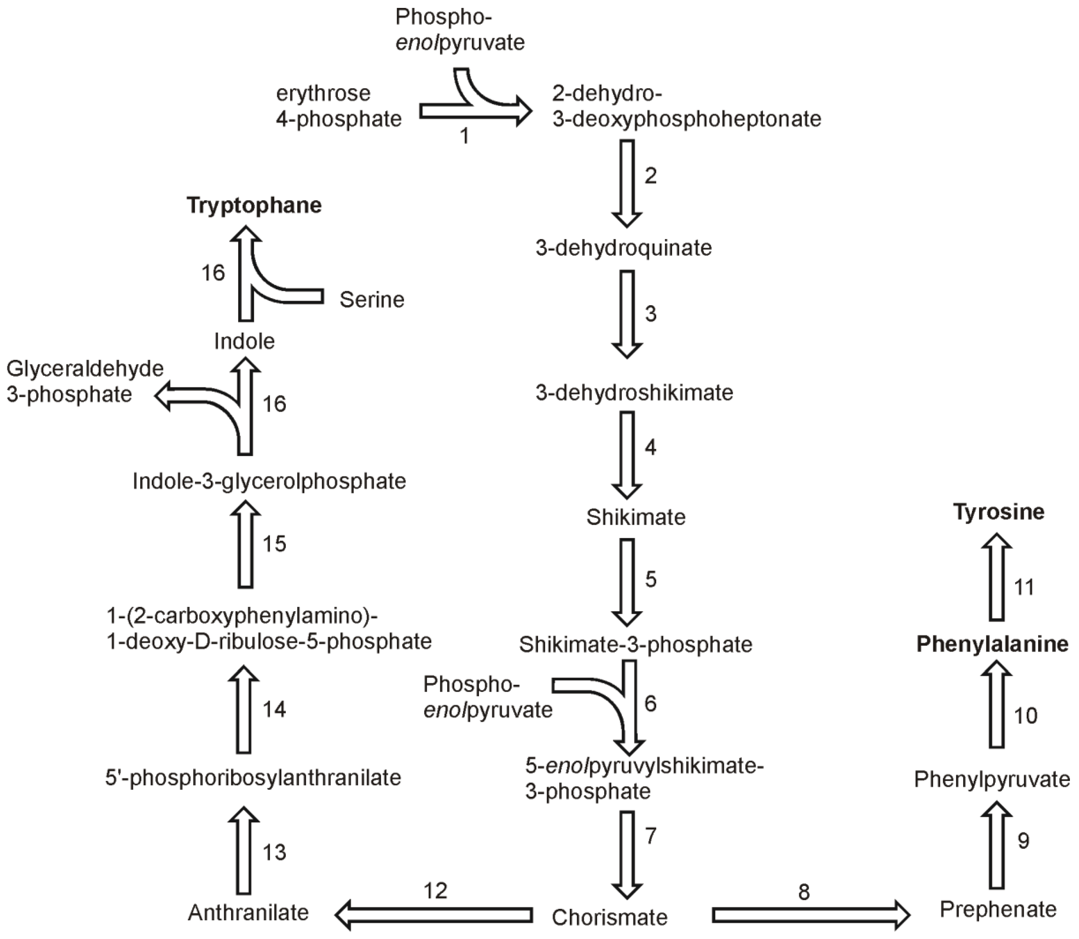 Metabolites 03 00294 g005 1024