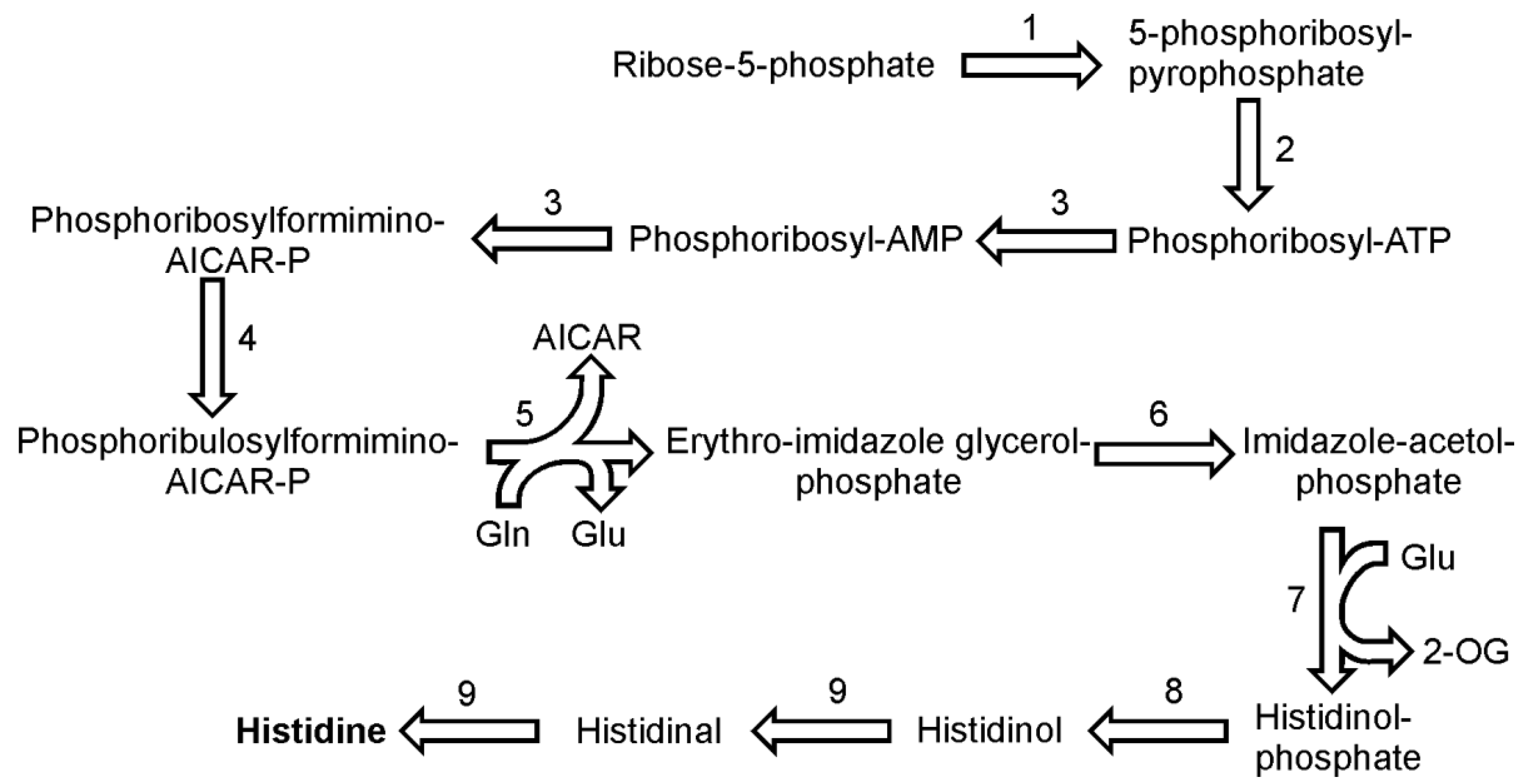 Metabolites 03 00294 g006 1024
