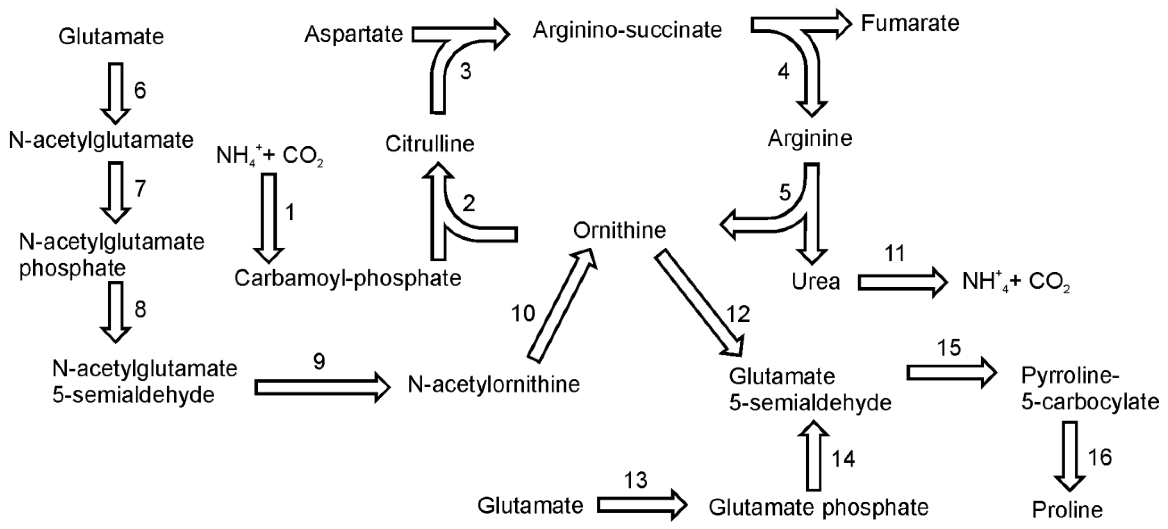 Metabolites 03 00294 g007 1024