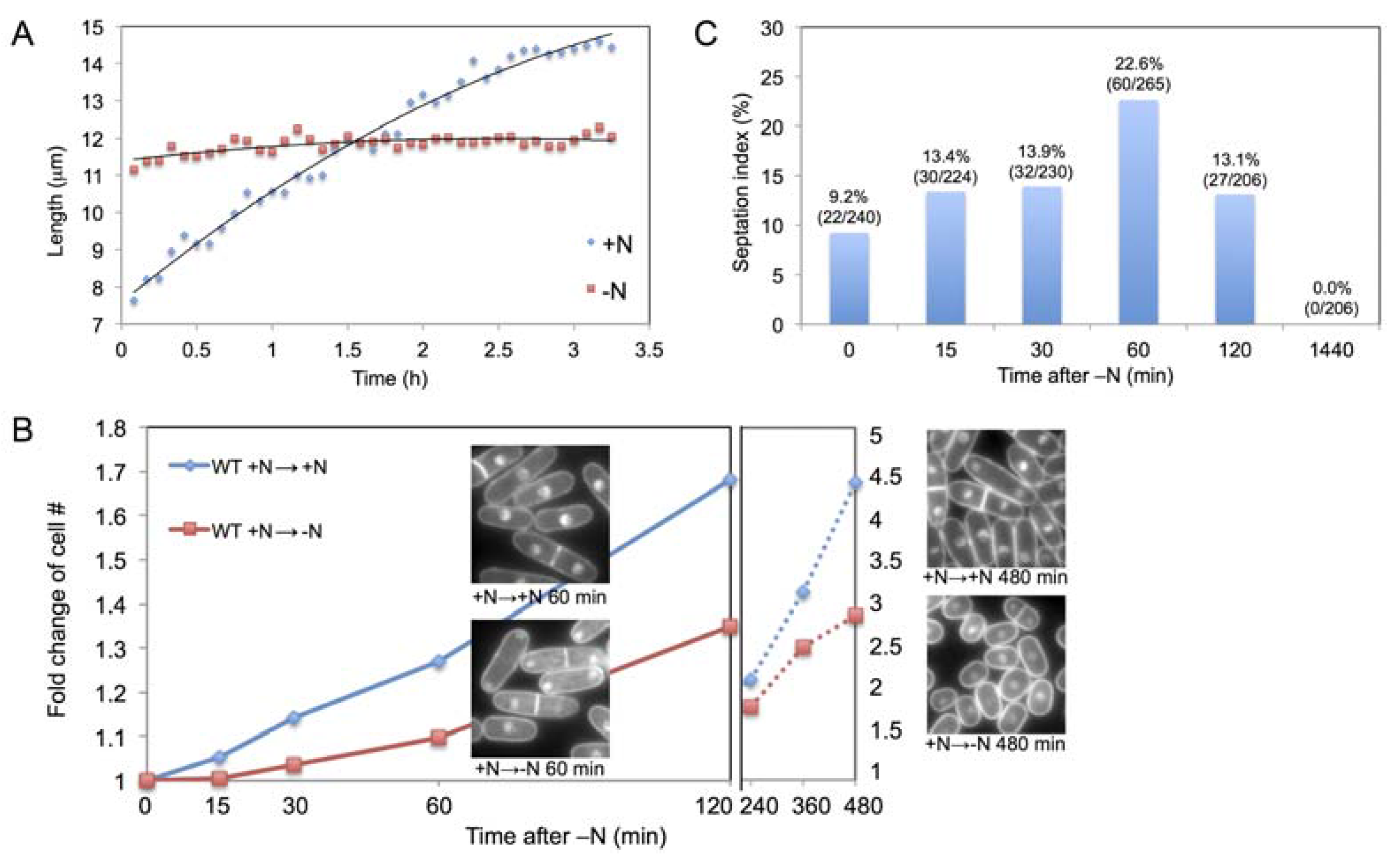 Metabolites 03 01118 g001 1024