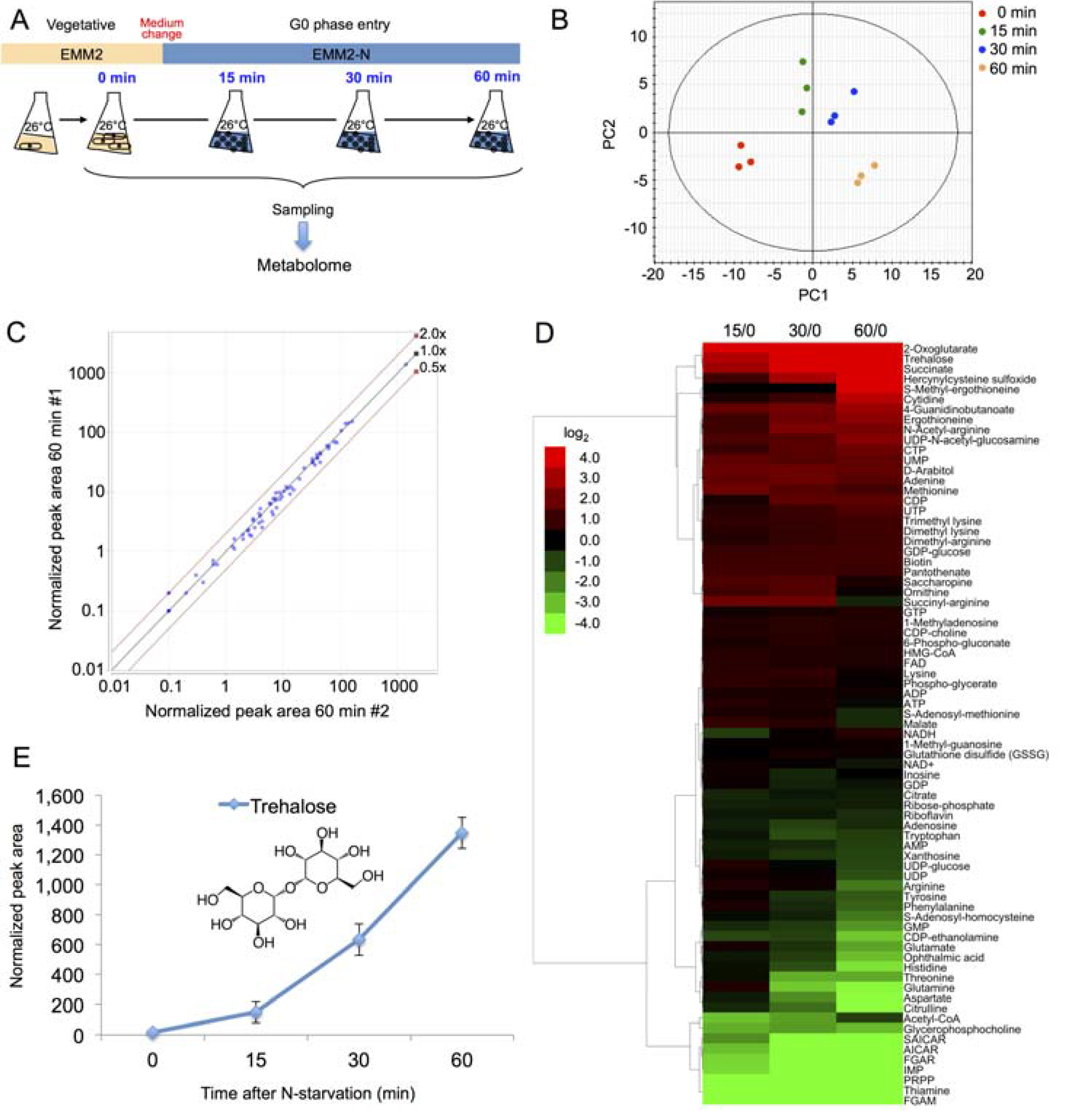 Metabolites 03 01118 g002 1024