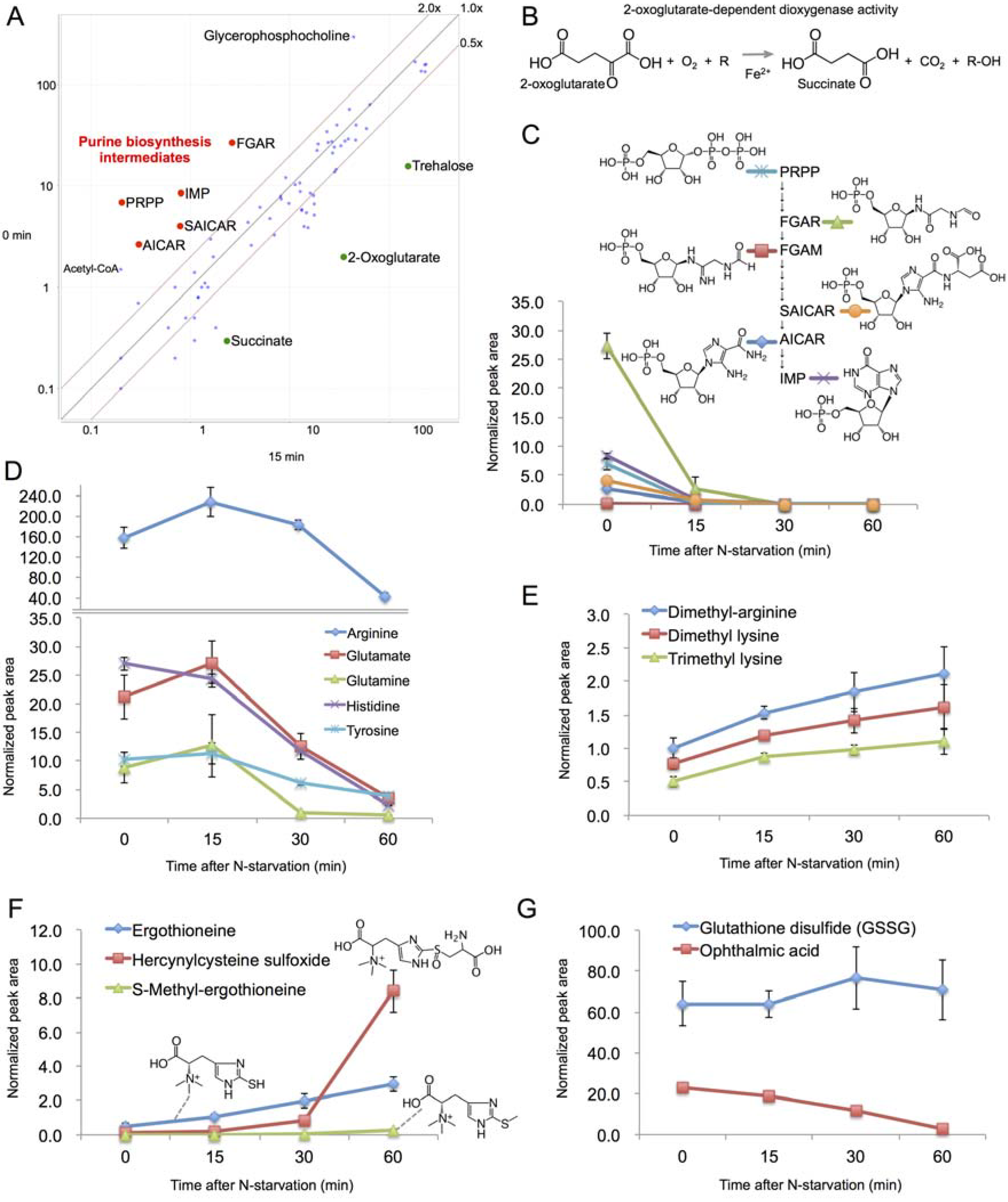 Metabolites 03 01118 g003 1024