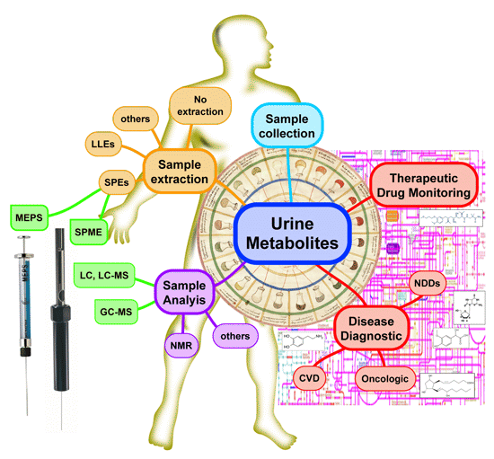 Metabolites Free FullText Microextraction by Packed Sorbent (MEPS