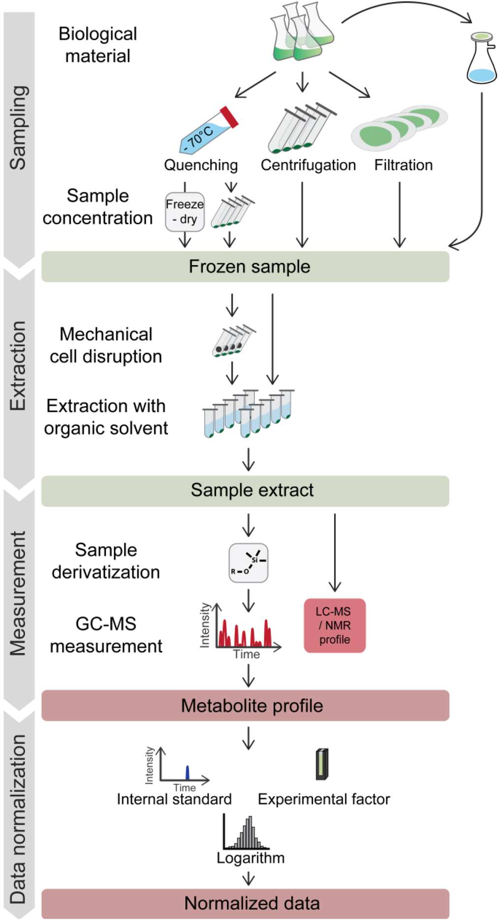 Metabolites, Free Full-Text