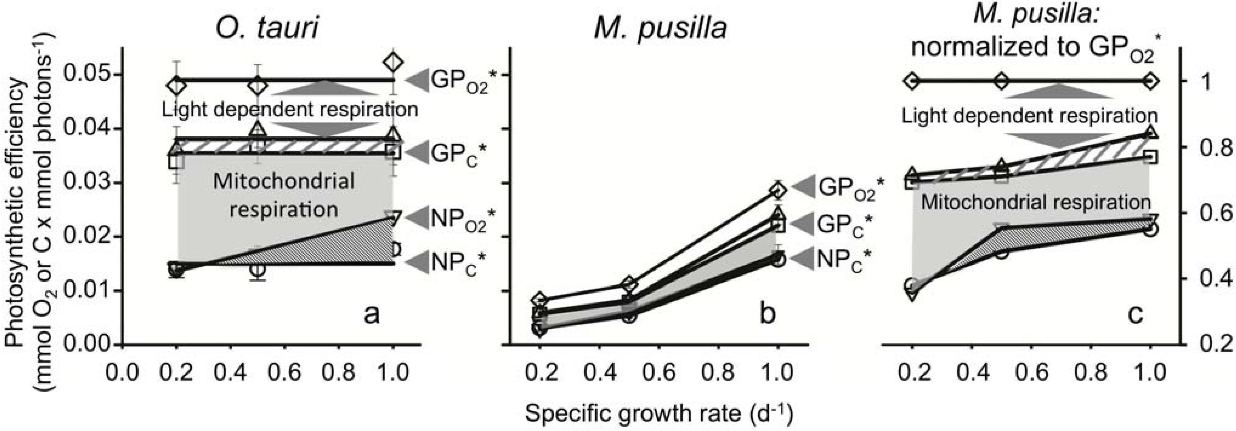 Metabolites 04 00260 g002 1024