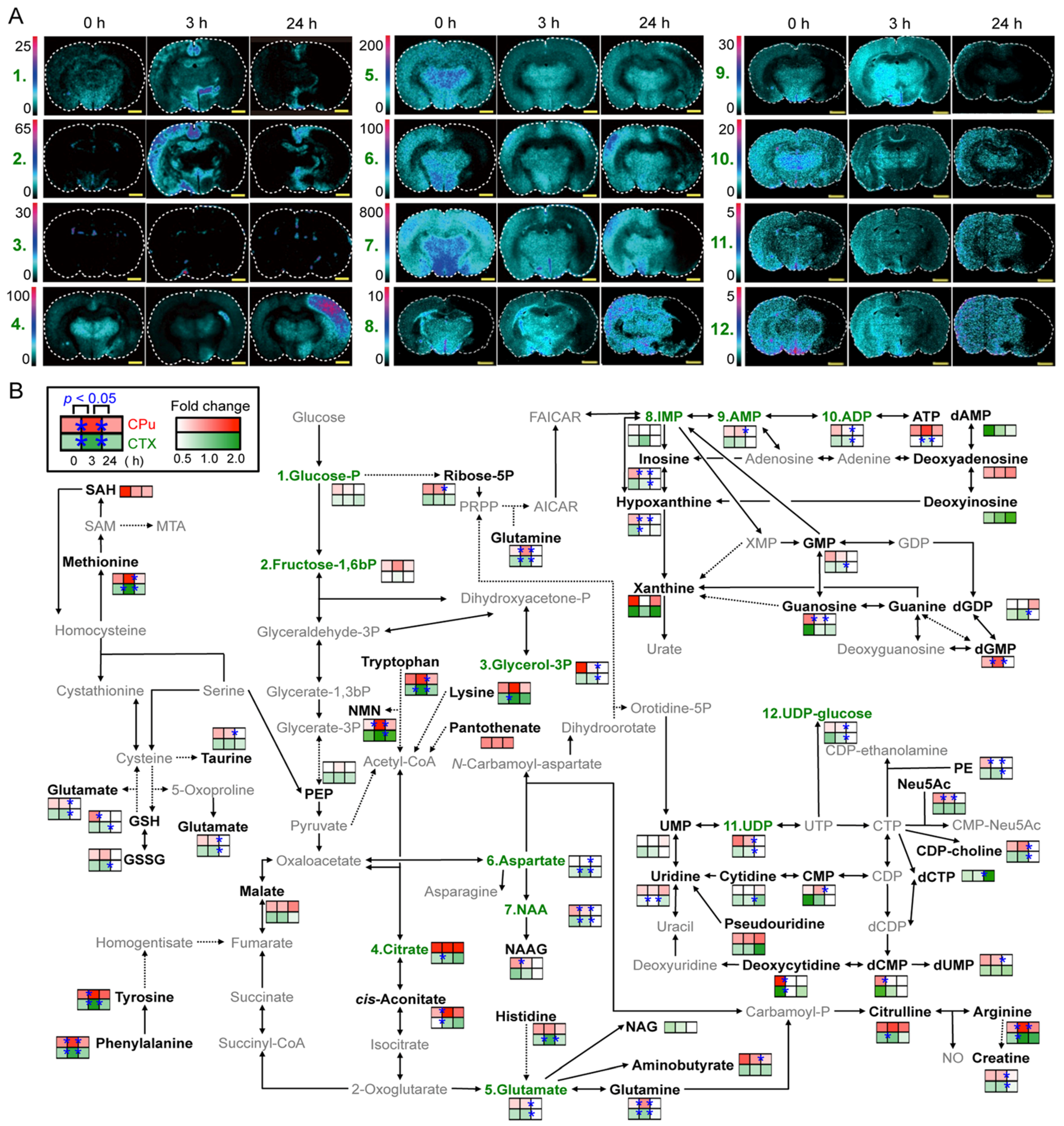 Metabolites 04 00319 g003