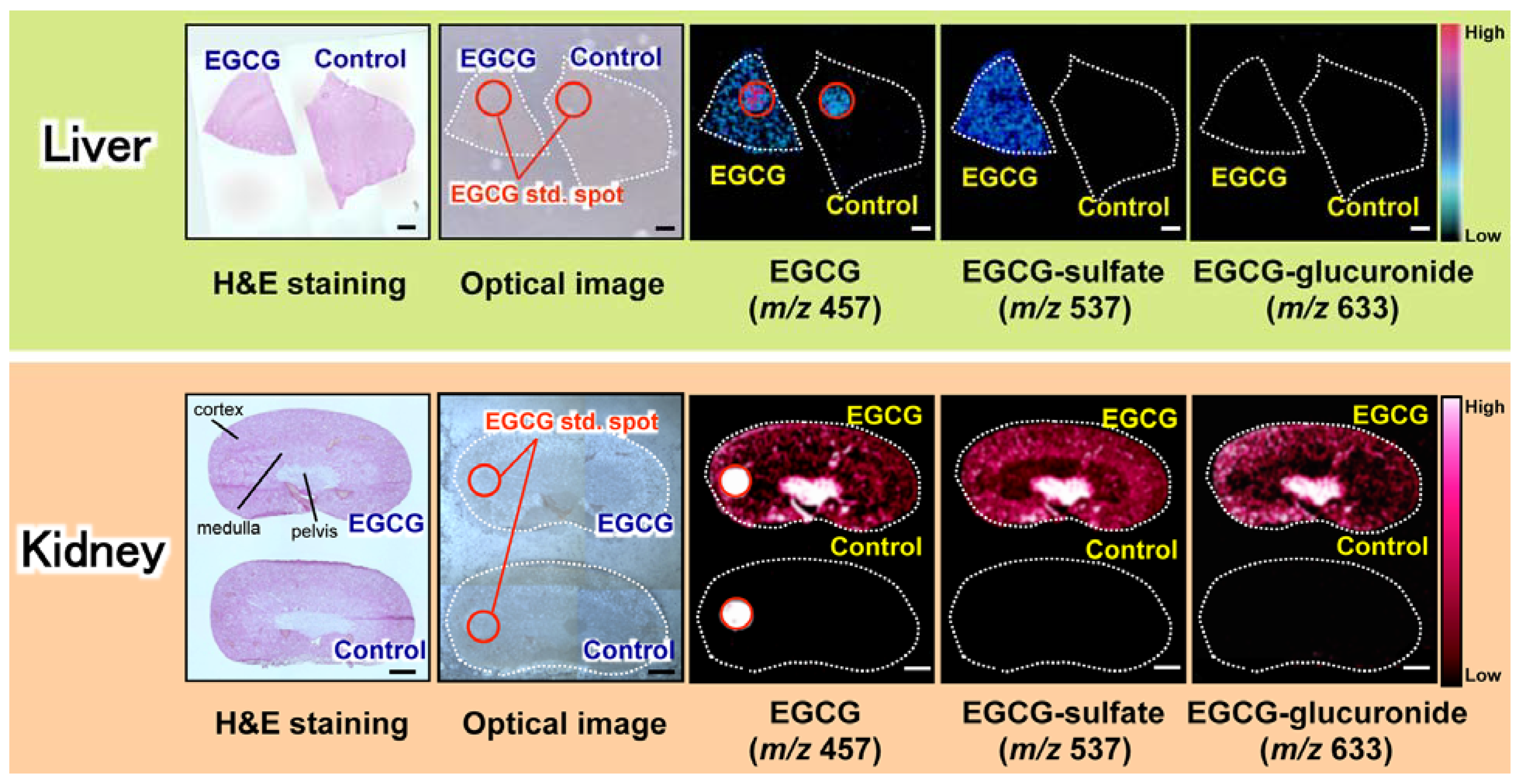 Metabolites 04 00319 g004