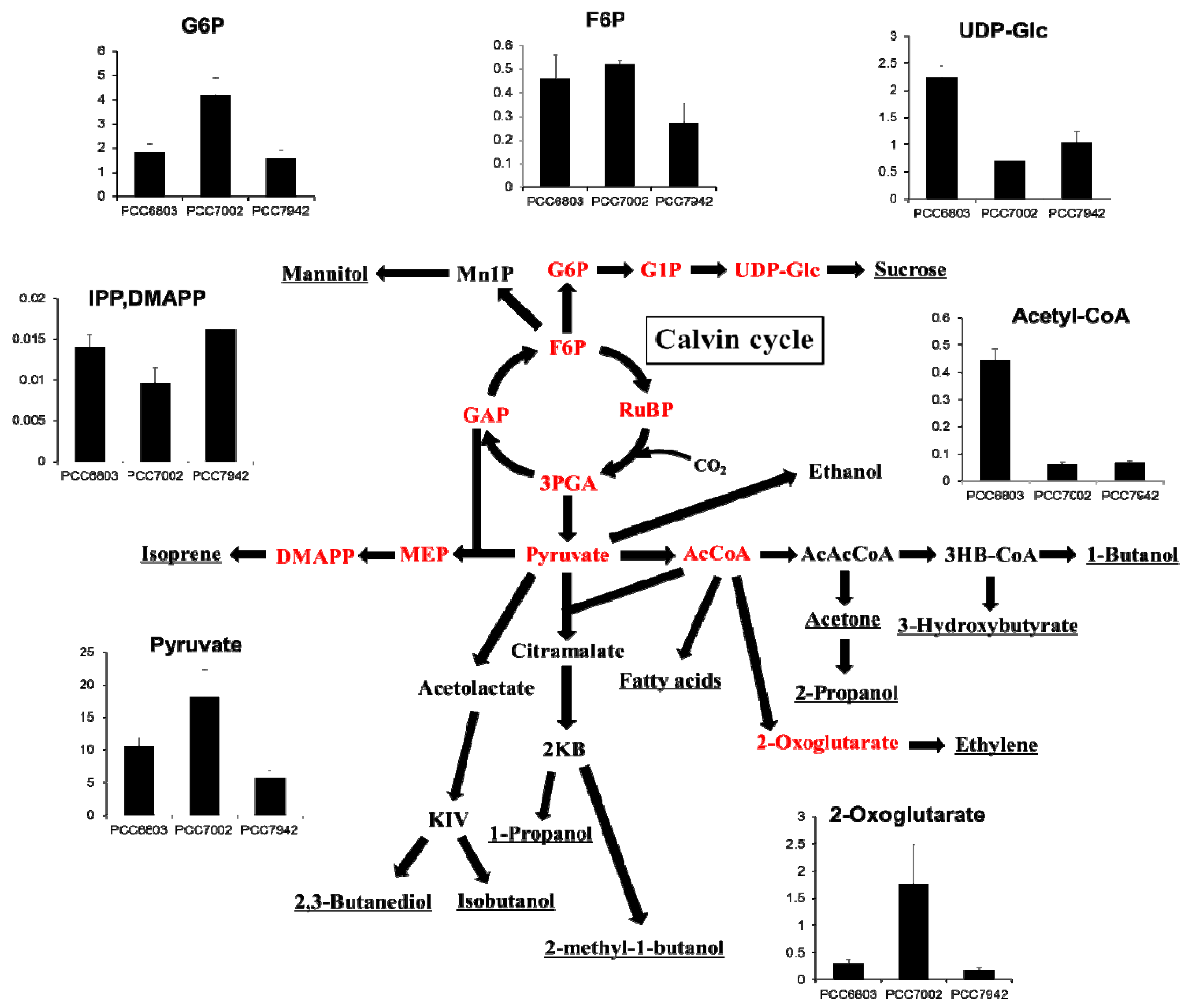 Metabolites 04 00499 g004