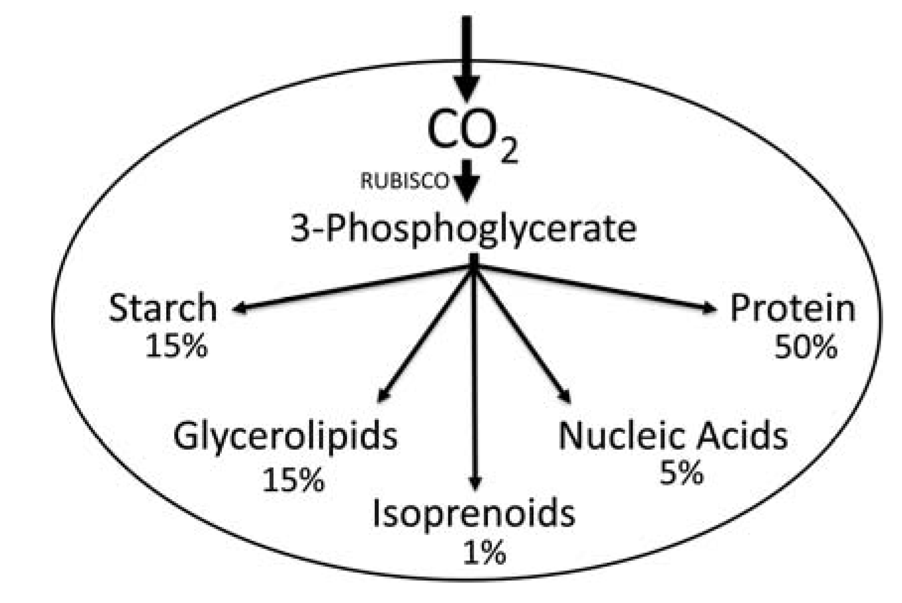 Metabolites 04 00612 g001 1024