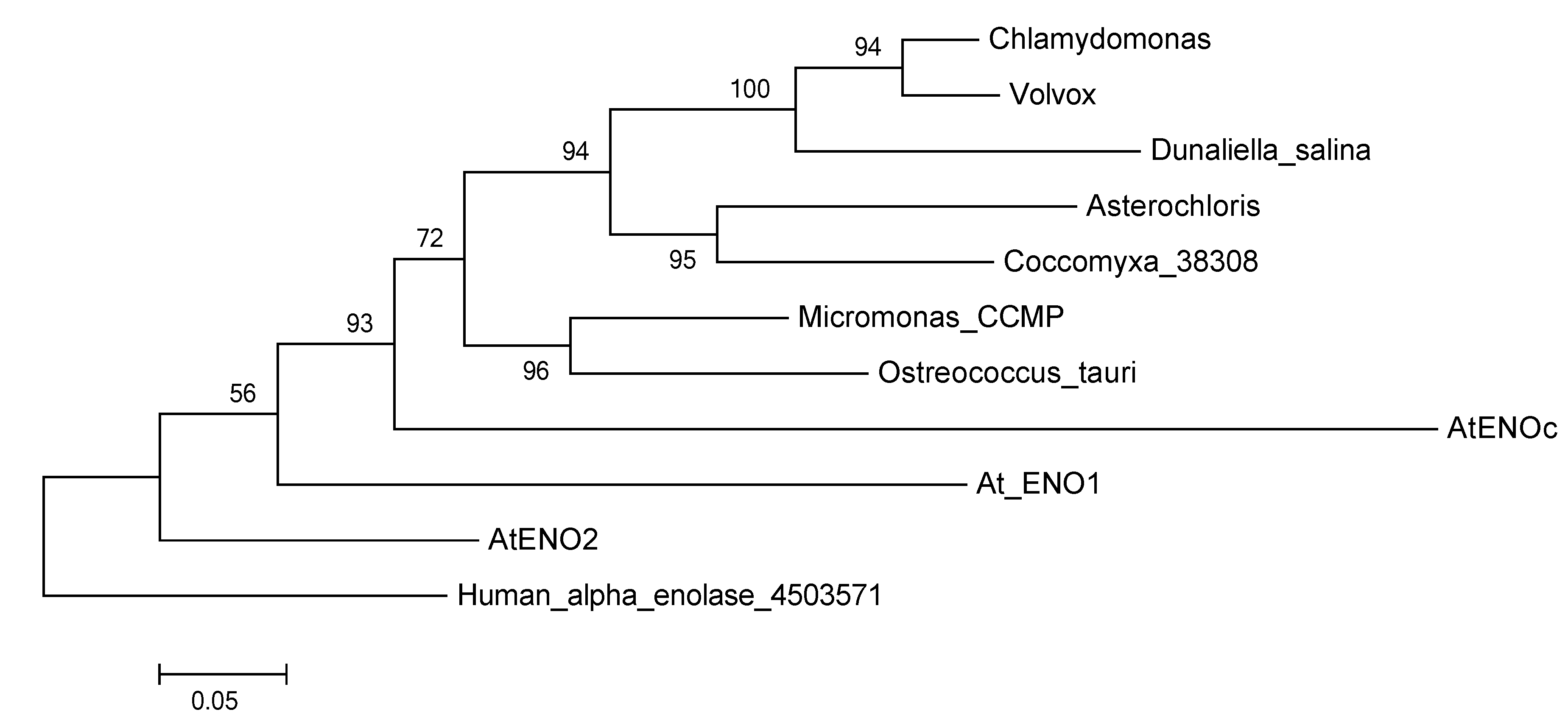 Metabolites 04 00612 g004 1024