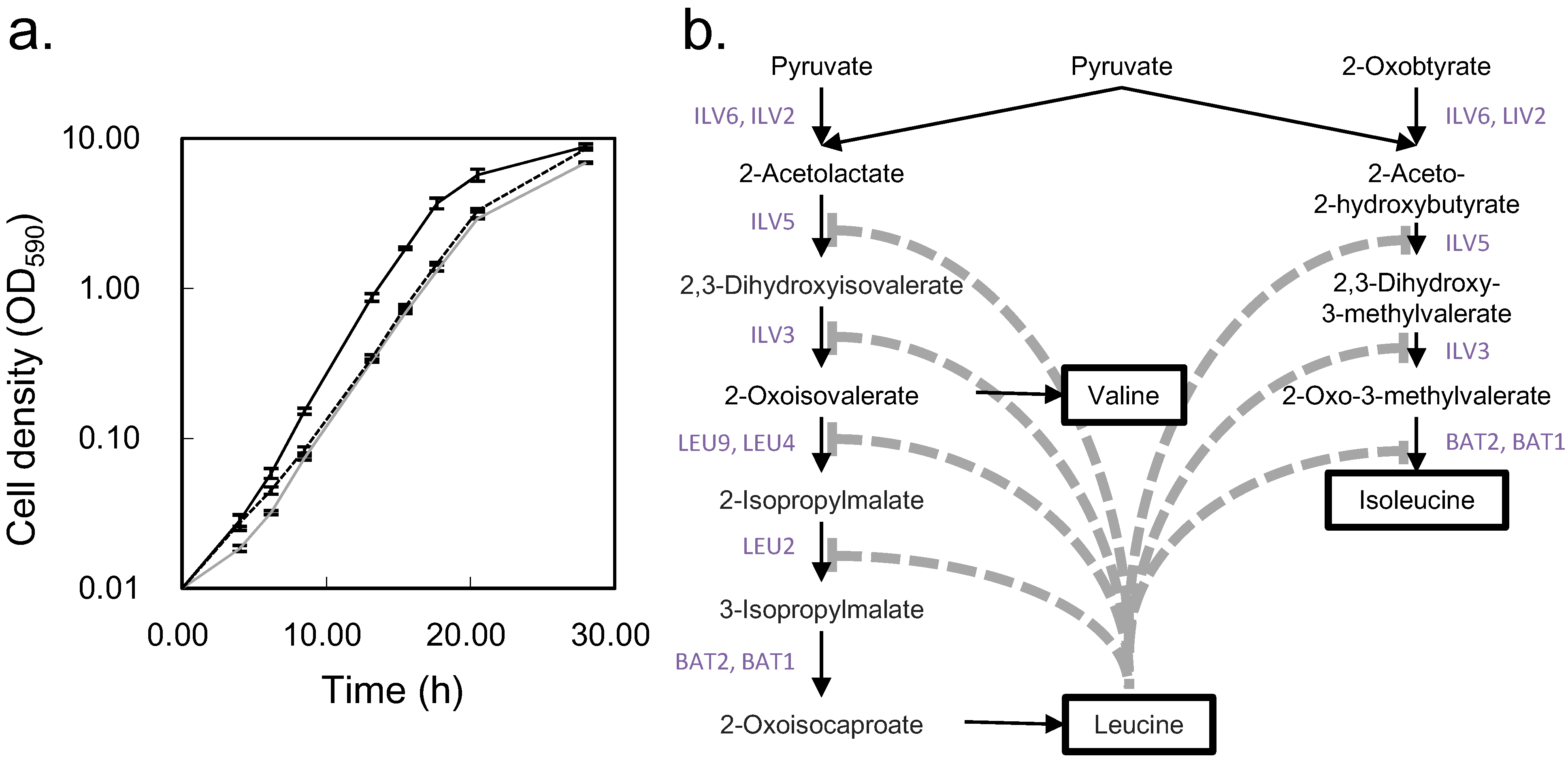 Metabolites 04 00722 g006