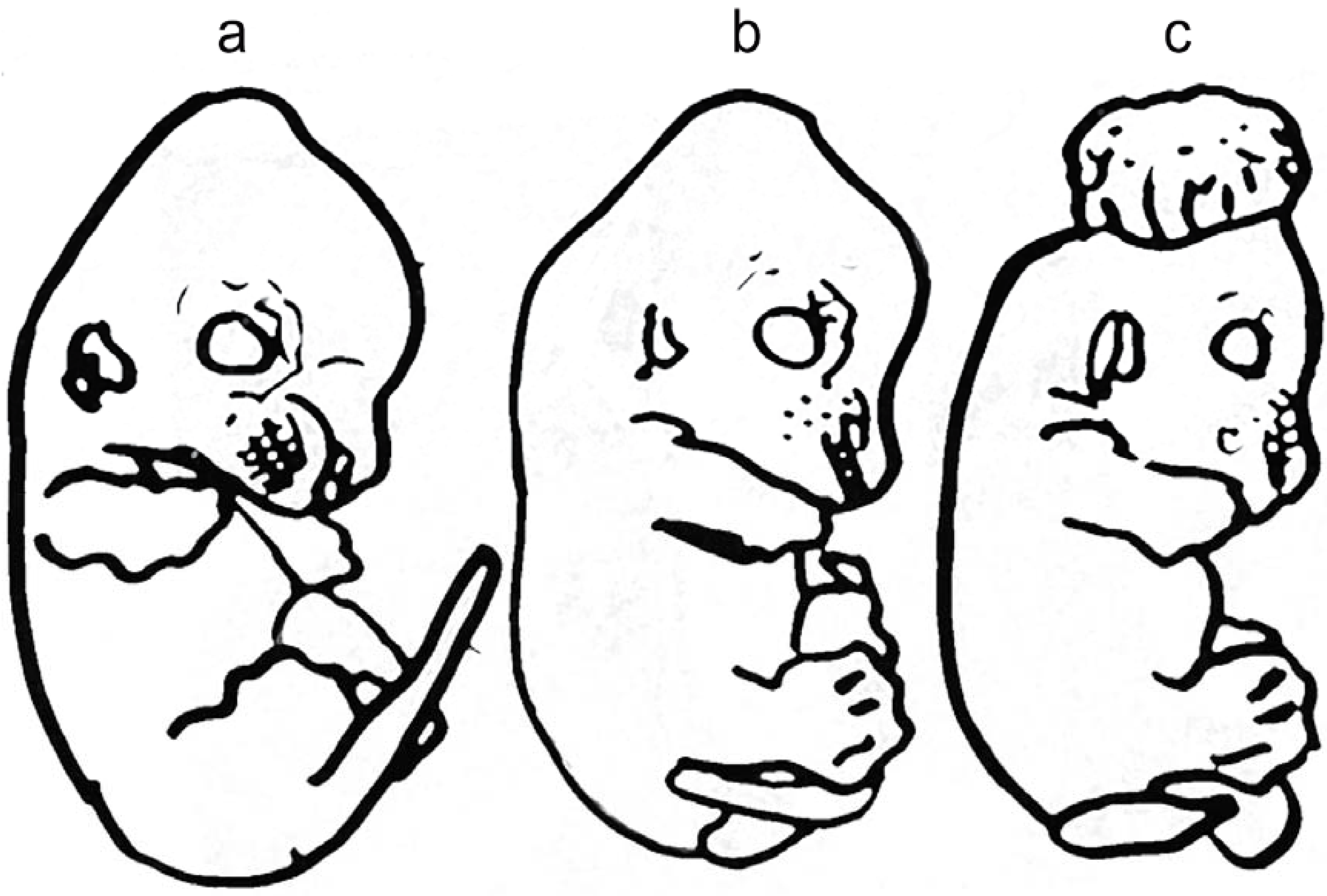 Metabolites 05 00164 g001 1024