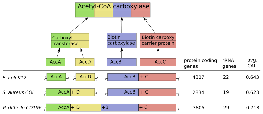 Metabolites 05 00252f6 1024