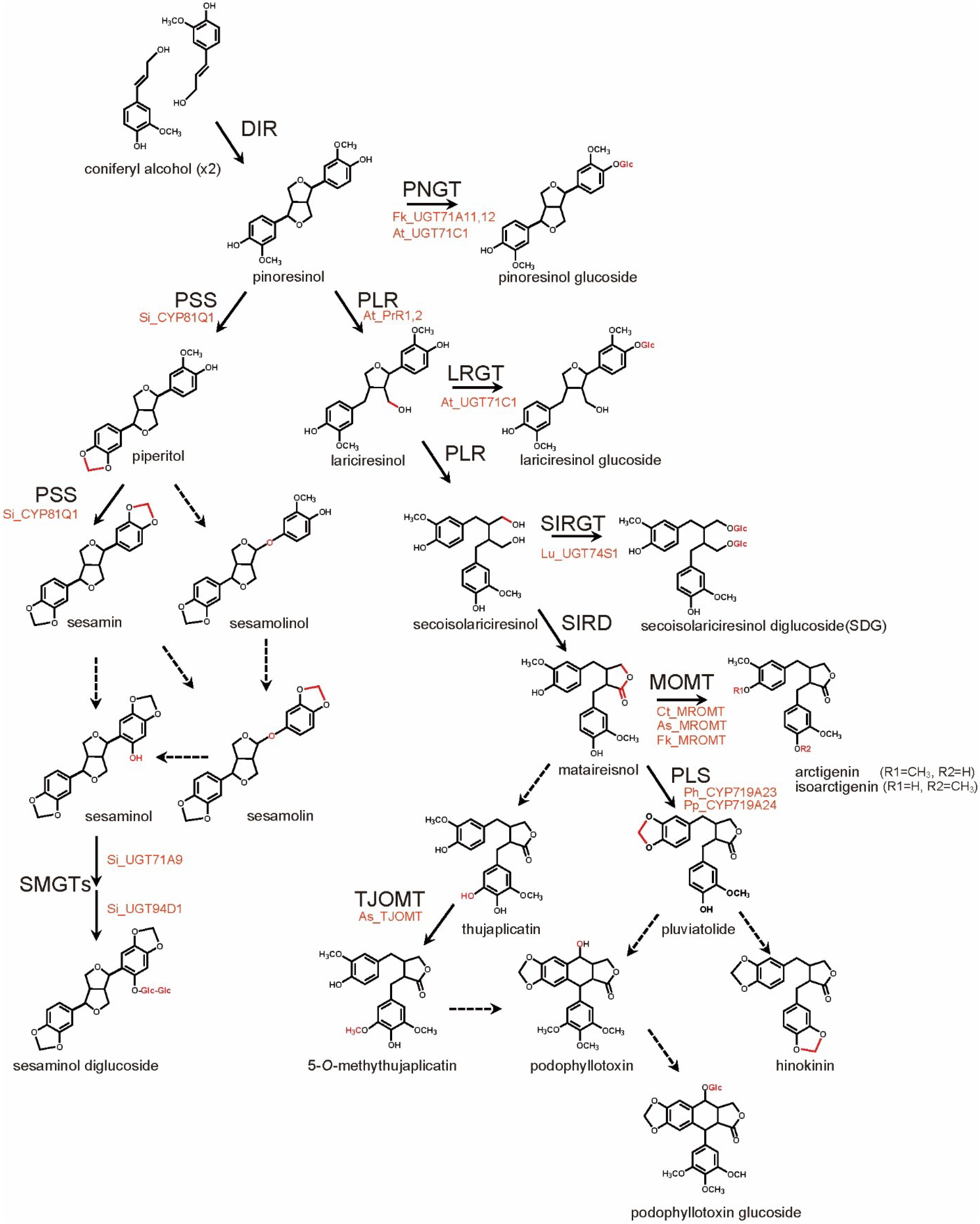 Metabolites 05 00270 g002