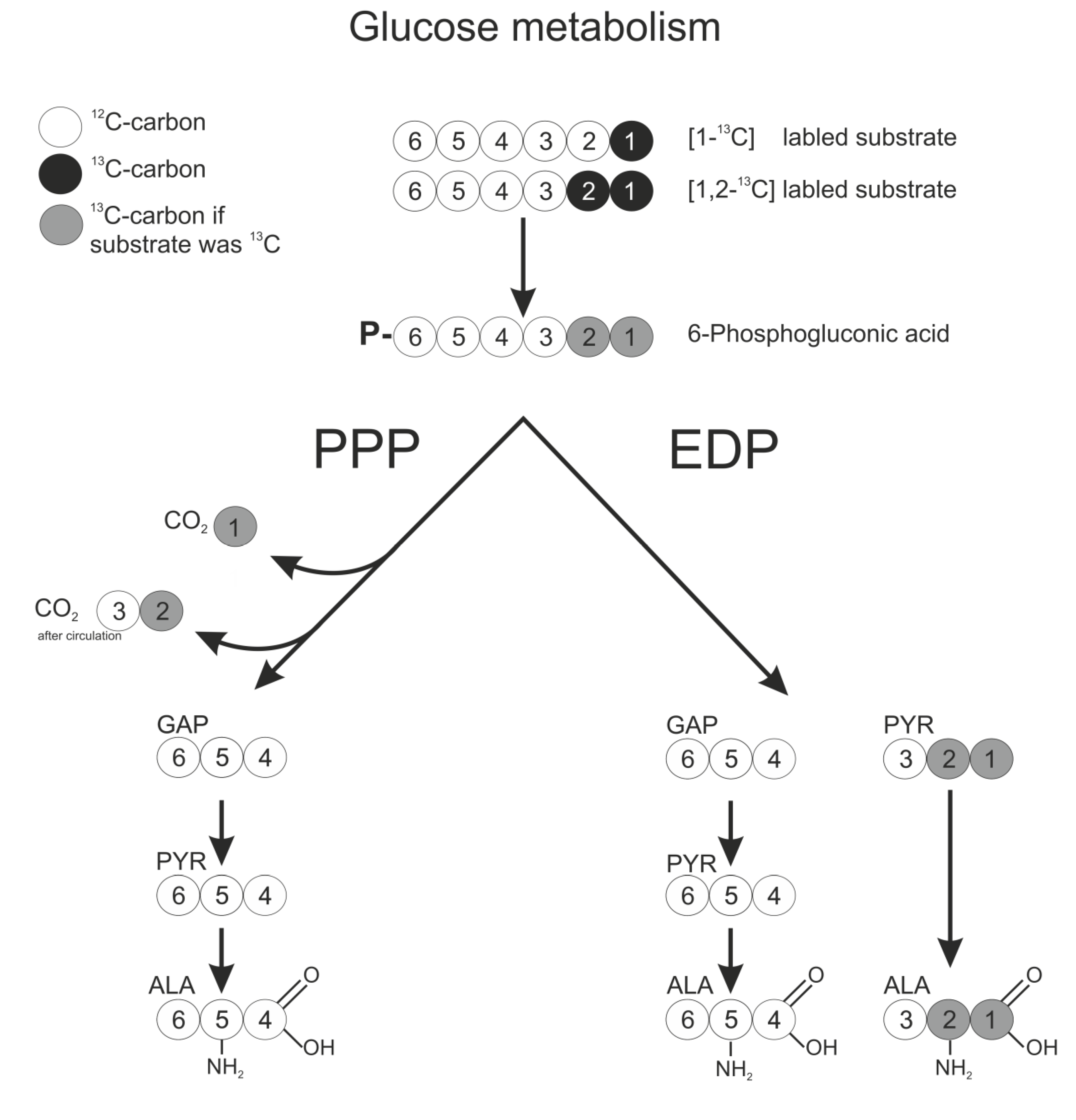 Metabolites 05 00455 g002