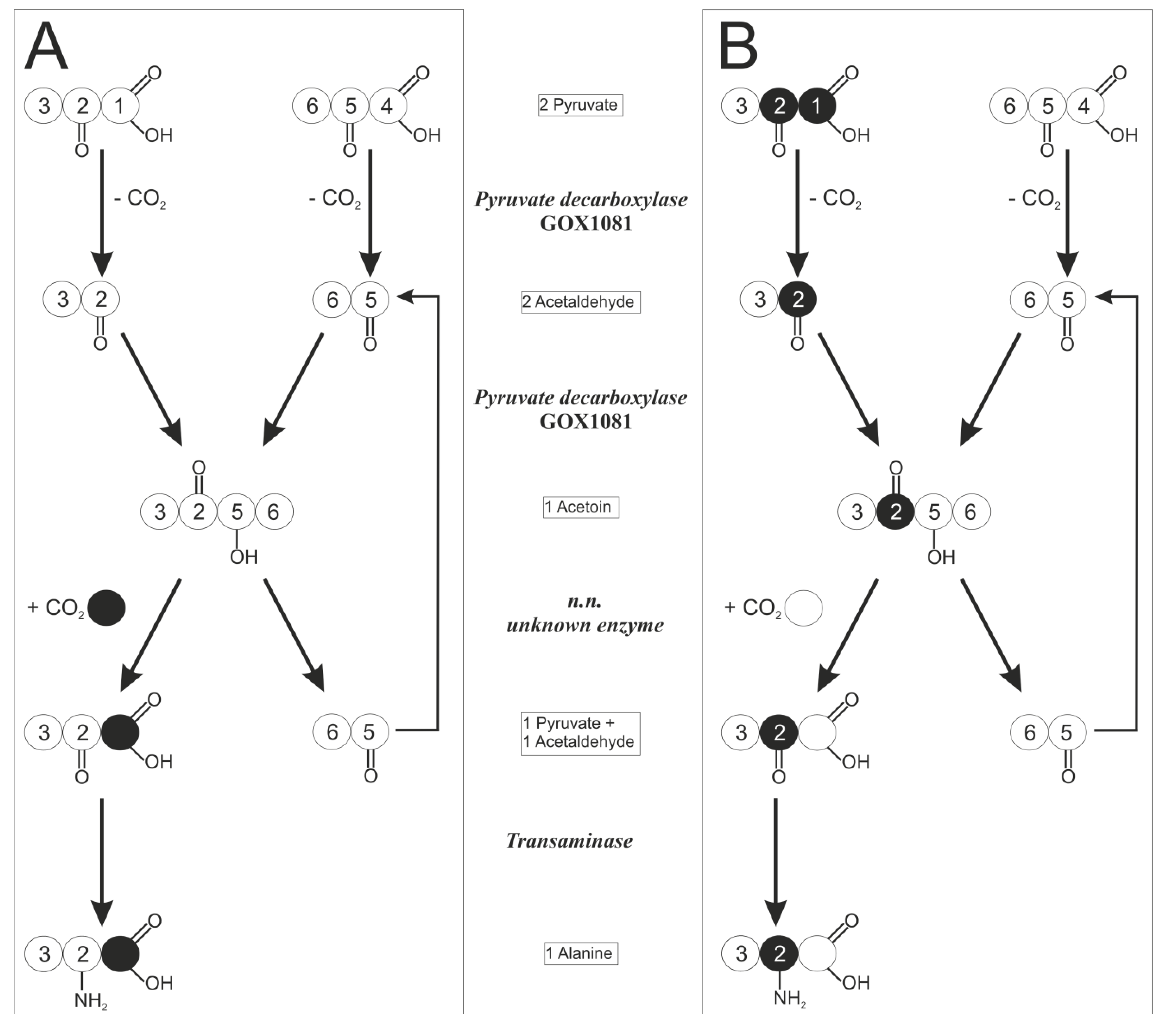 Metabolites 05 00455 g005