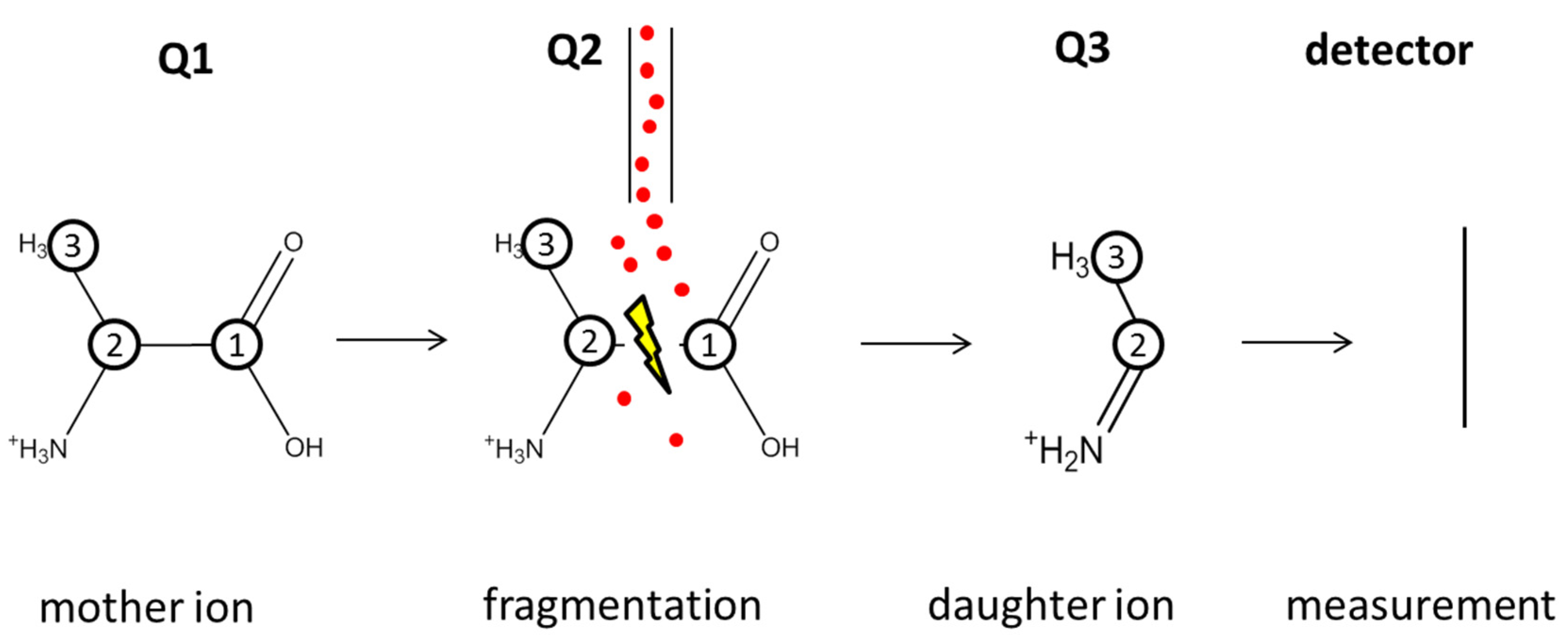 Metabolites 05 00455 g006